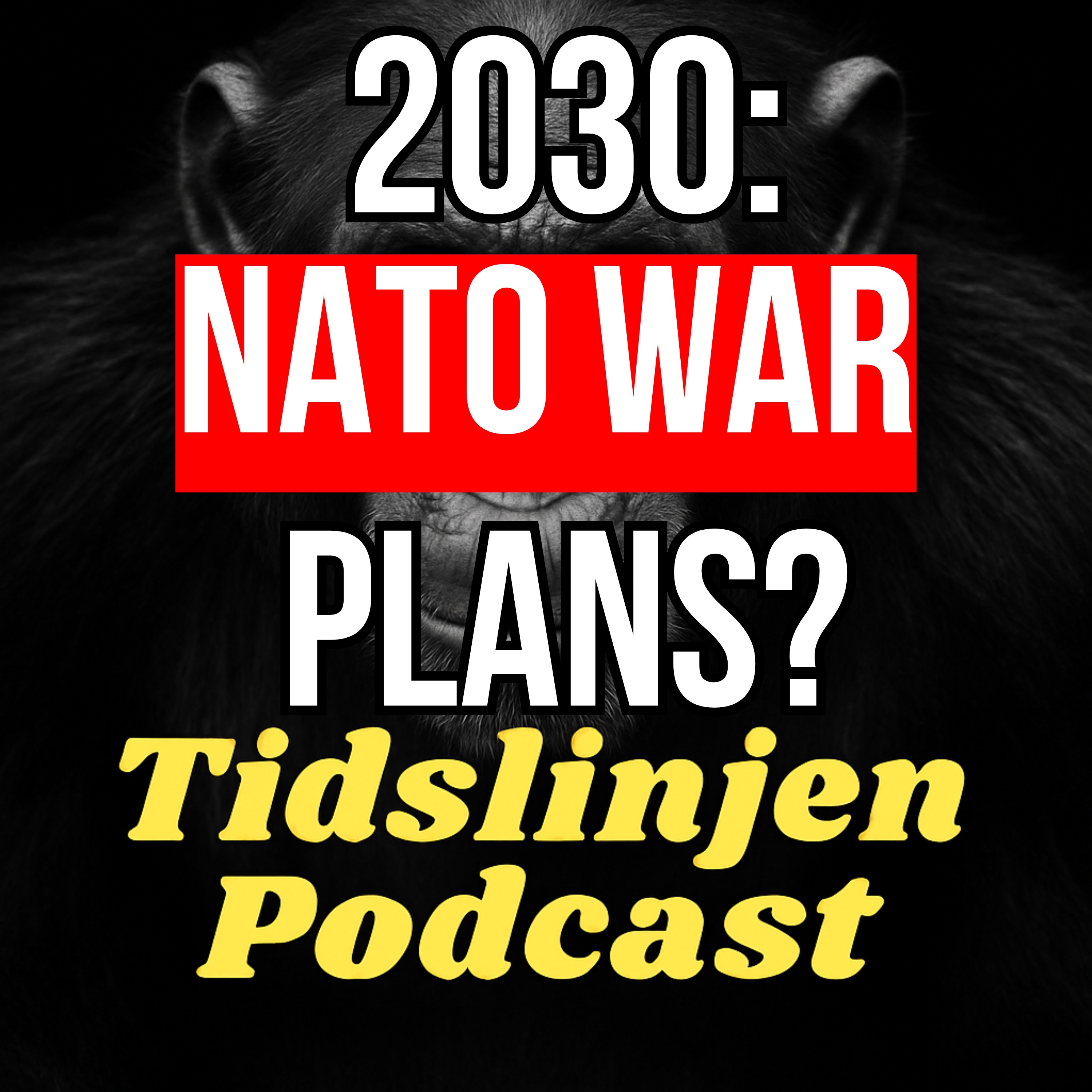 #46 - Steven E. Kuhn: NATO, War Plans & the Collapse of Trust in the West episode artwork