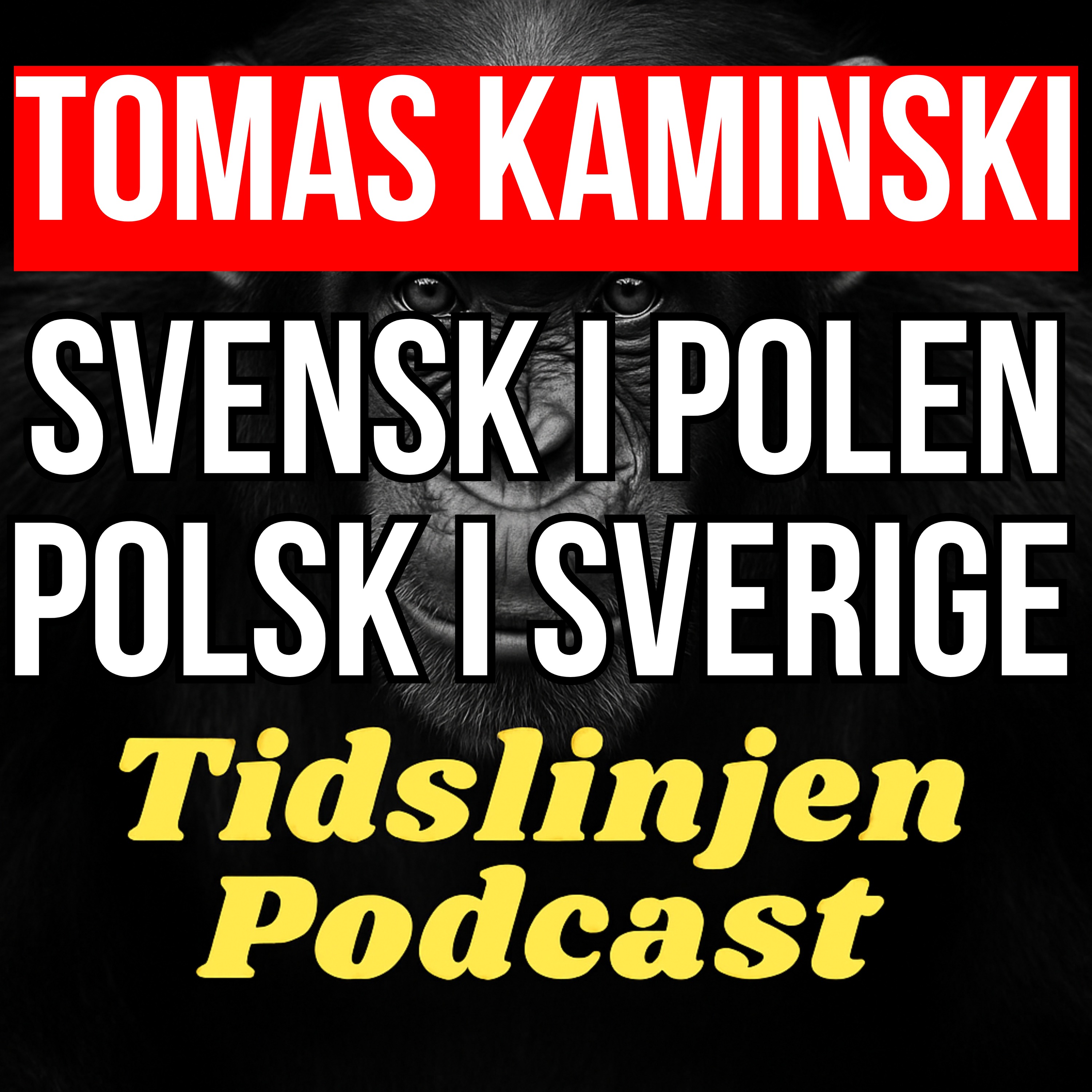 #53 - Från Rosengård till standupscenen – Komikern Tomas Kaminski om humor och identitet episode artwork