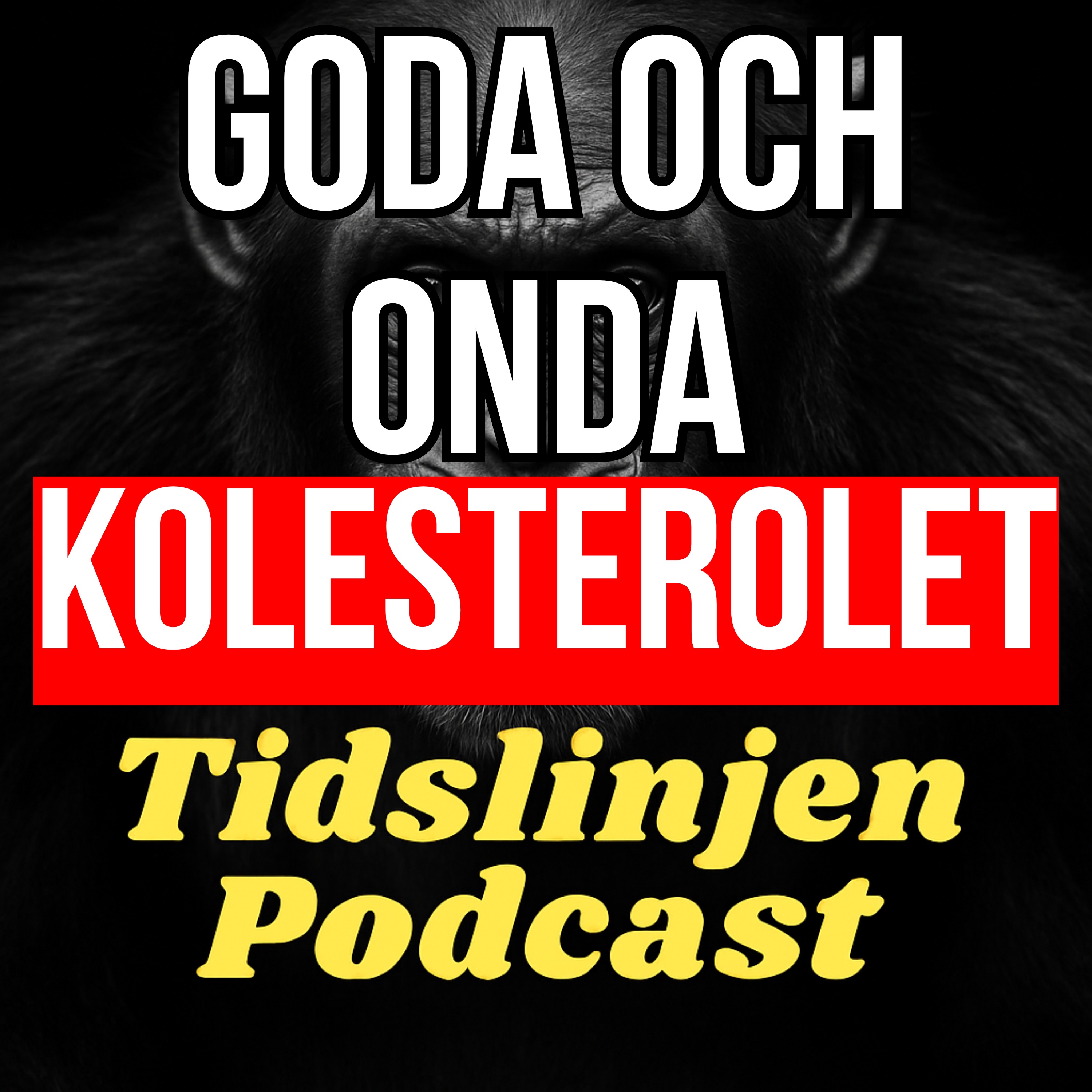 #57 - Är kolesterol verkligen farligt? Dr. Mikael Kiswani Lindholm avslöjar sanningen episode artwork