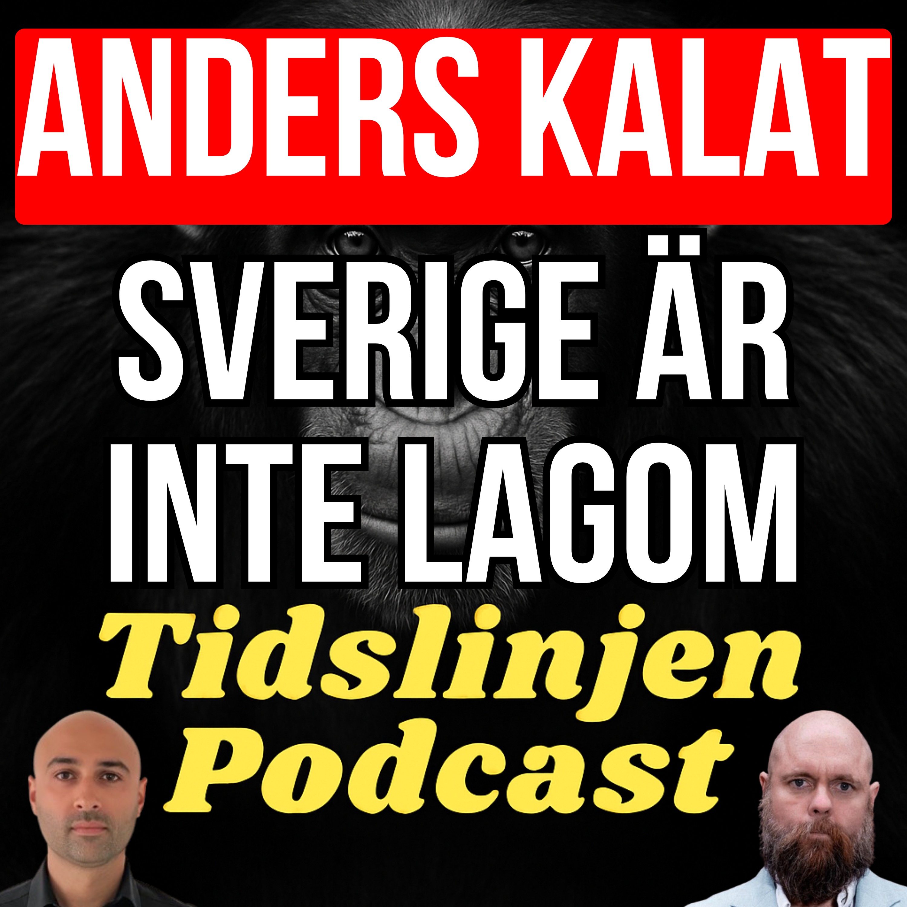 #71 - Politikerna tappade folket – därför spricker gemenskapen | Anders Kalat episode artwork