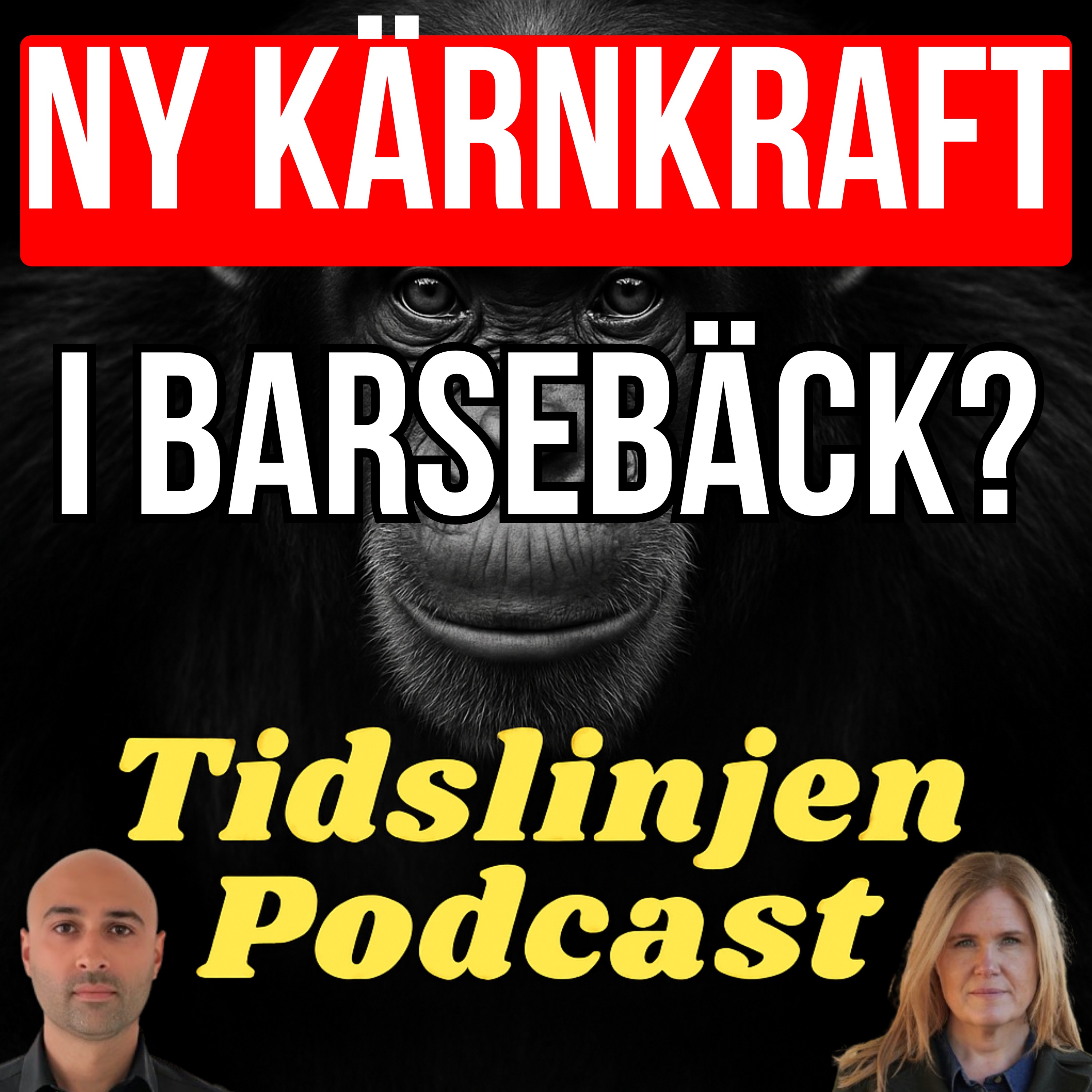 #76 - Ny kärnkraft i Barsebäck? Kommunstyrelsens ordförande svarar episode artwork