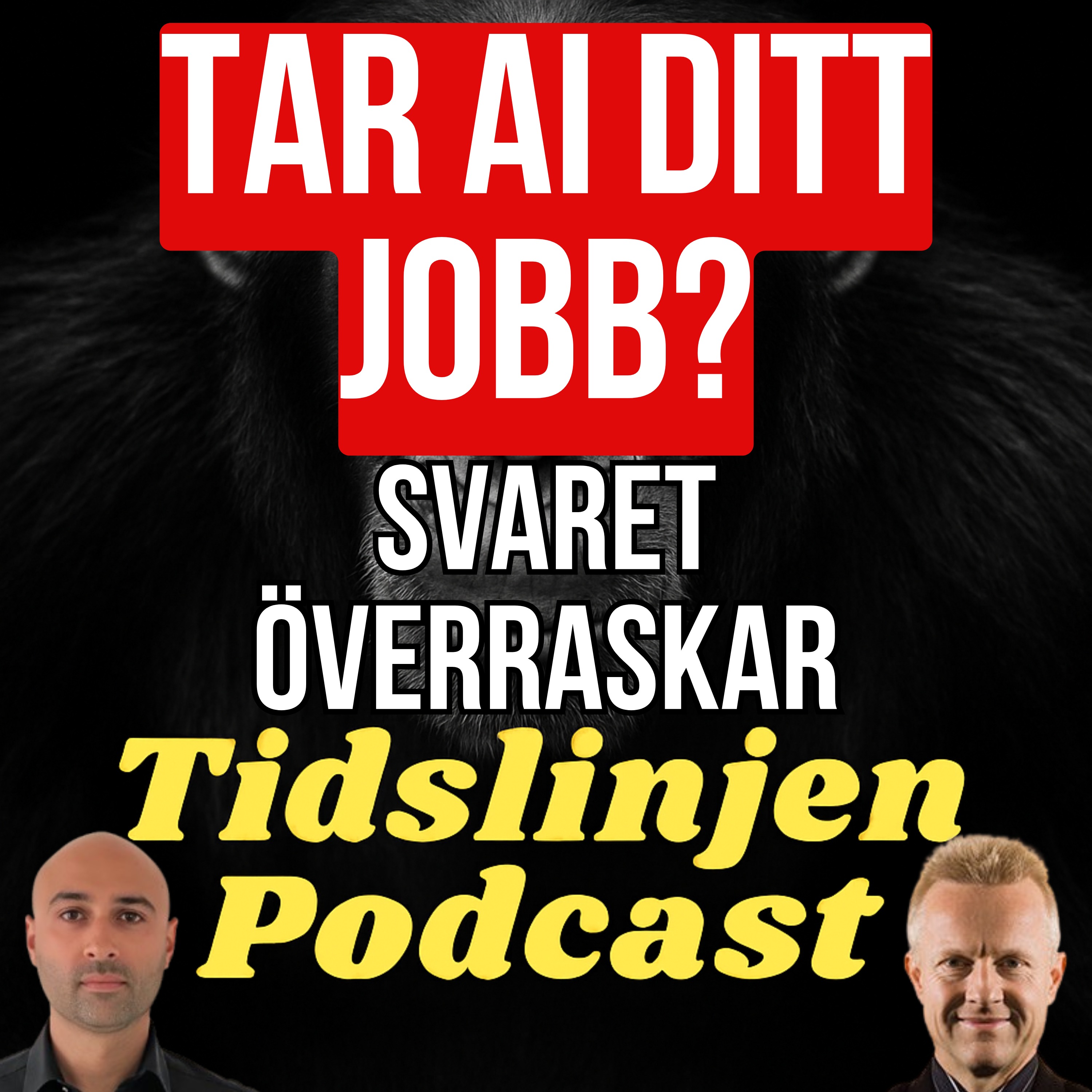 #79 - Kommer AI ta ditt jobb? Nationalekonomens svar episode artwork
