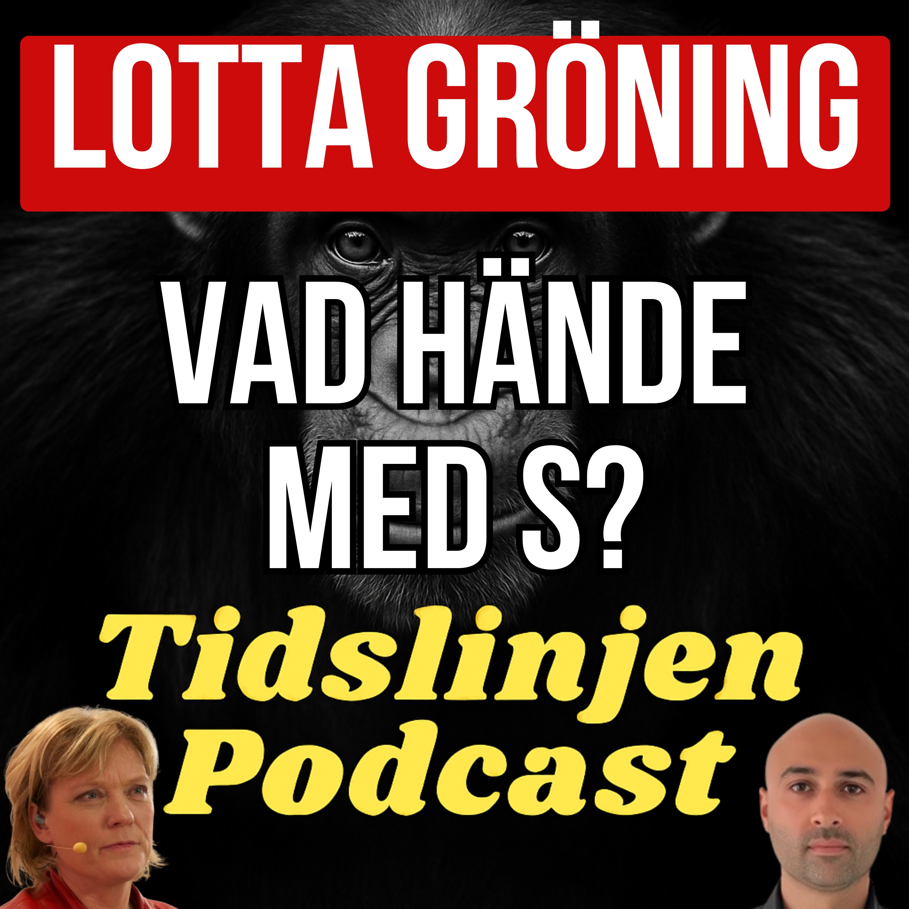 Lotta Gröning: Från solidaritet till lojalitet – vad hände med Socialdemokraterna? episode artwork