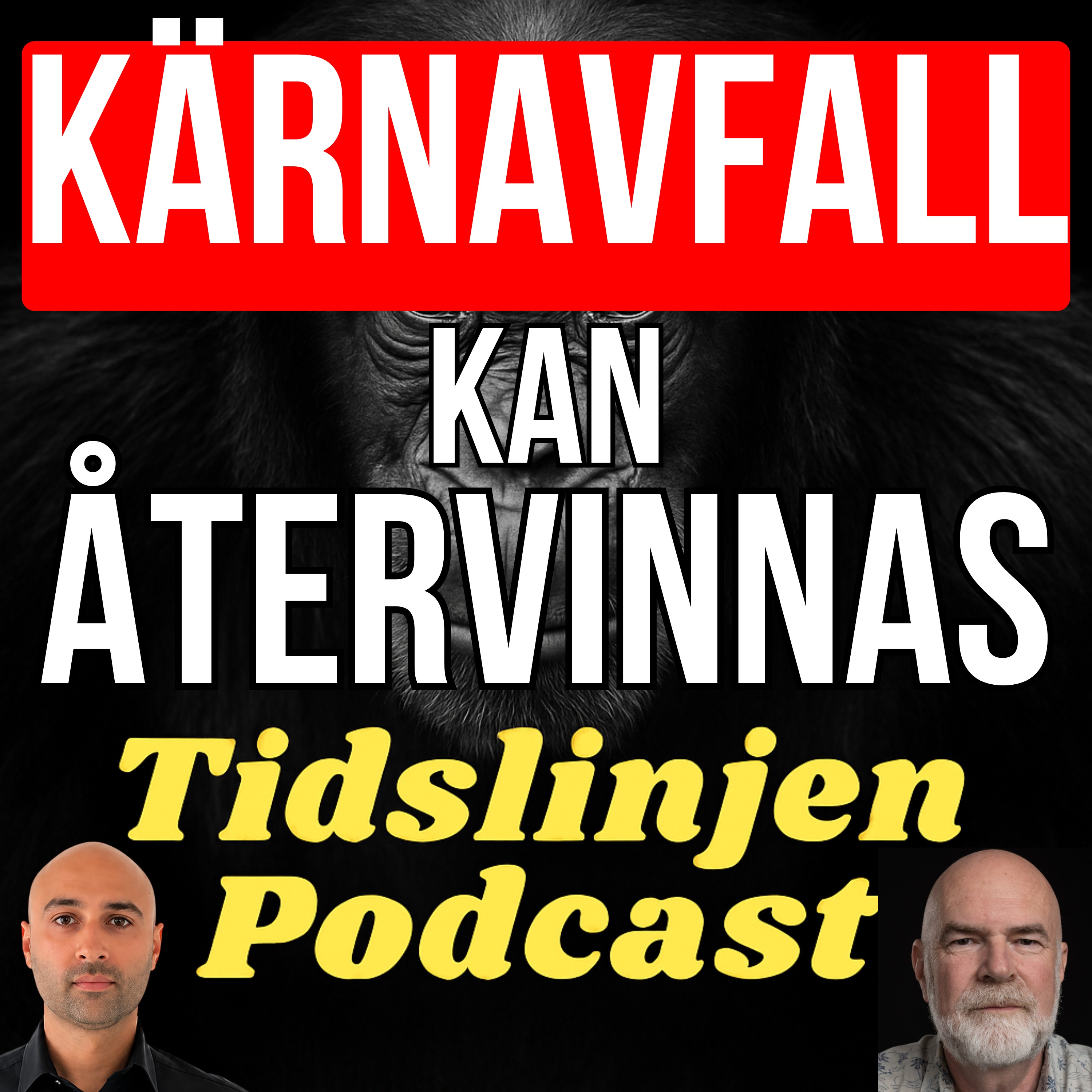 #84 - Vi använder bara 5% av kärnbränslet | Christian Ekberg, Professor i Kärnkemi episode artwork