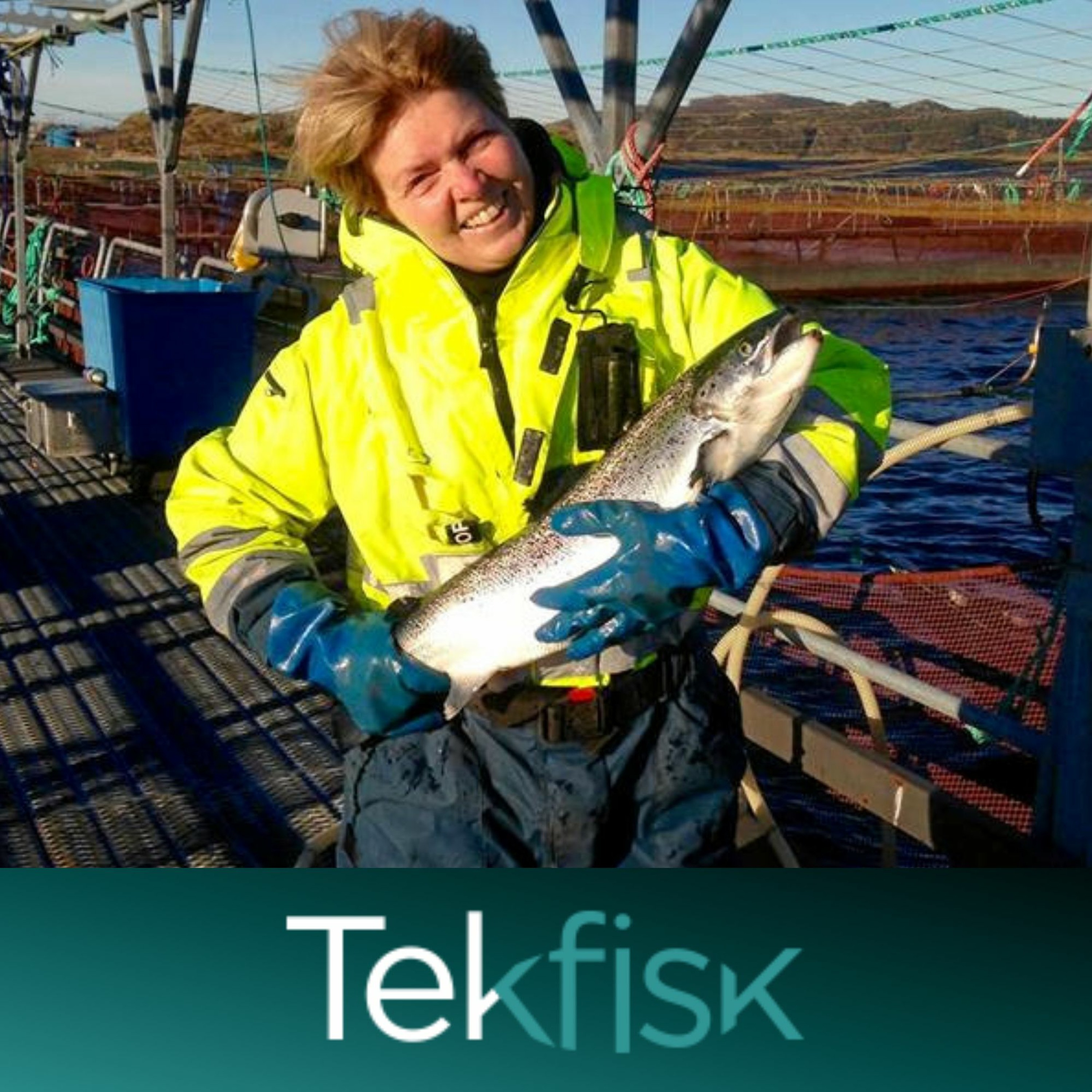 Tekfisk