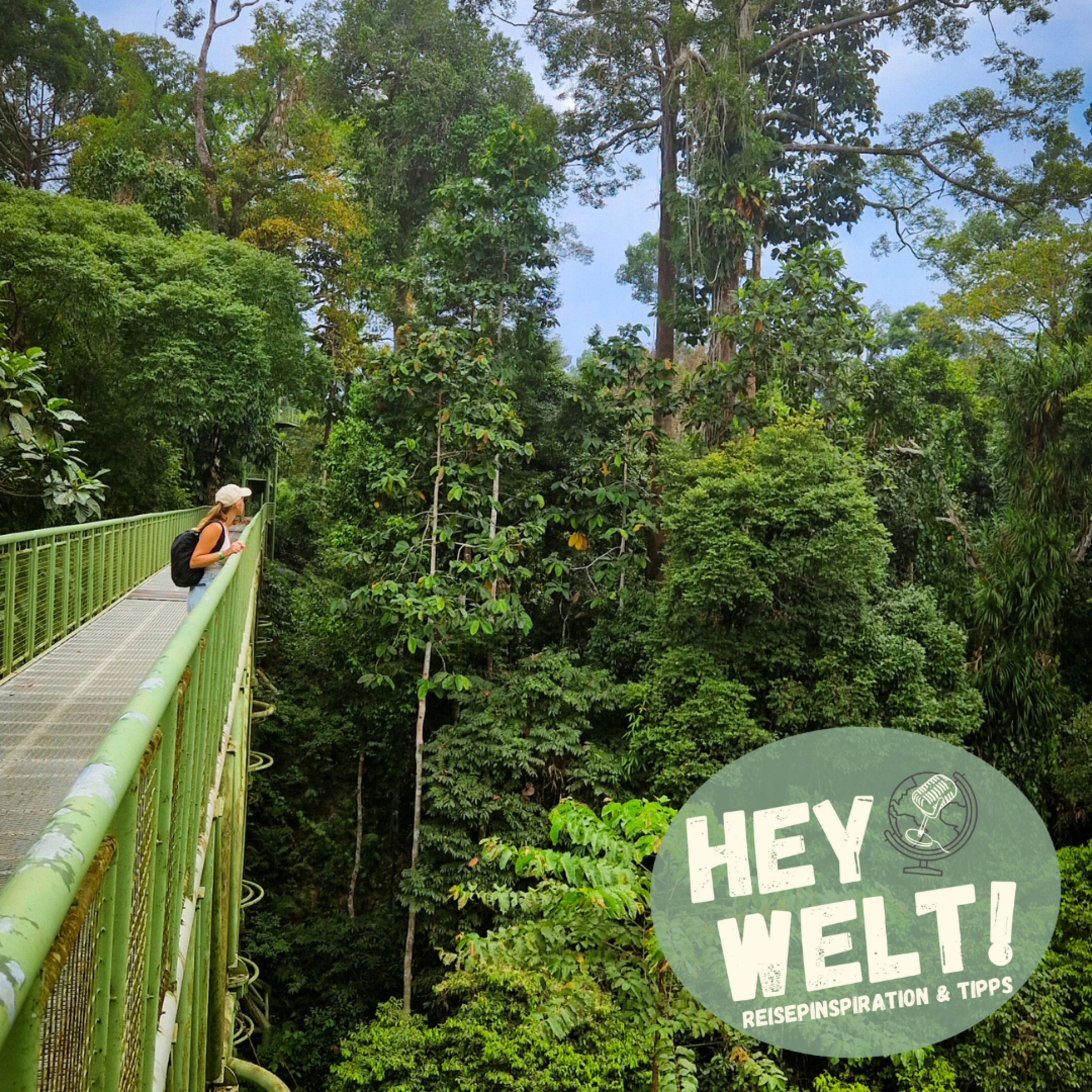 Hey Borneo! – Einzigartiges Wildlife in Malaysias Regenwäldern episode artwork