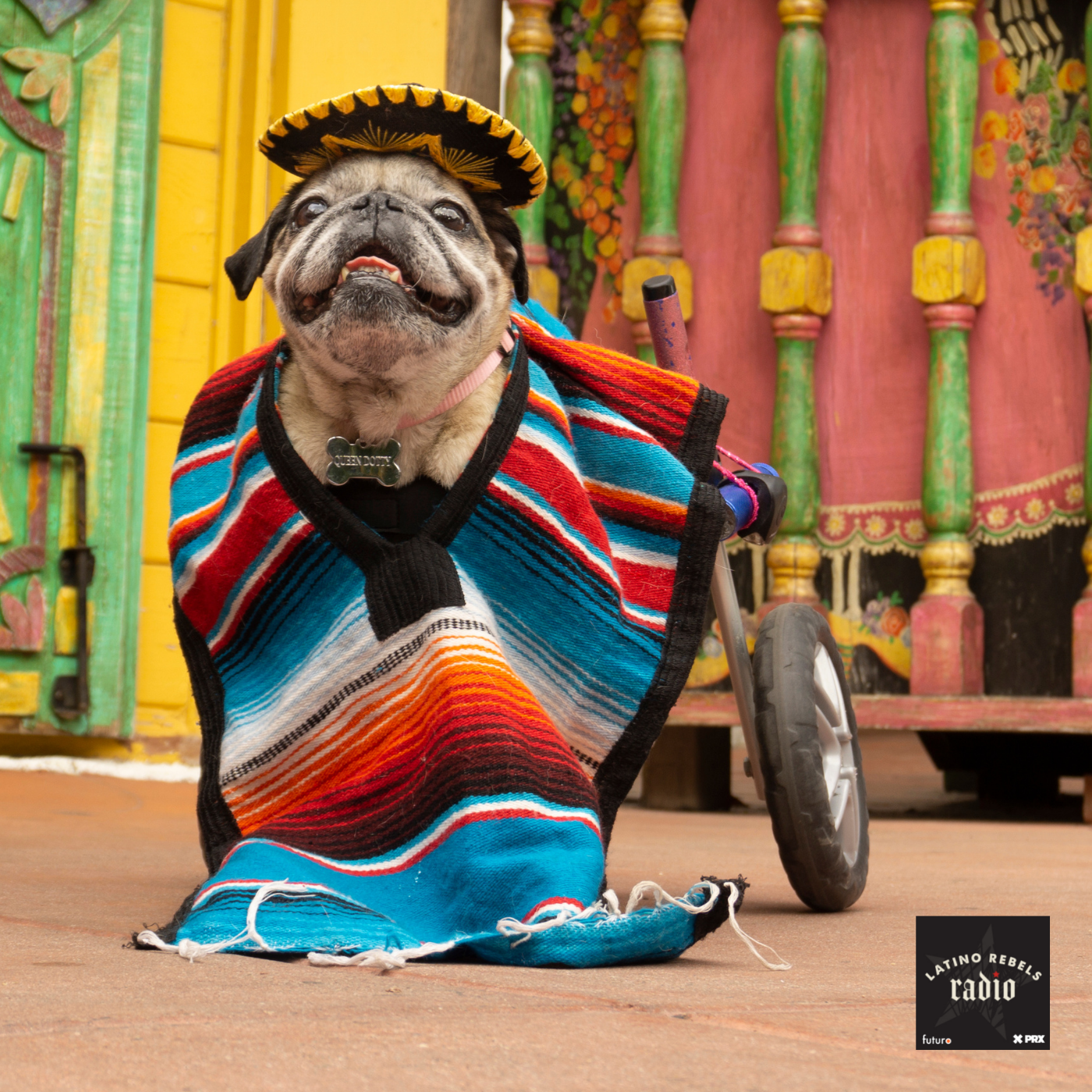 Thumbnail for "Cinco de Fallo". Thumbnail for "Cinco de Fallo".