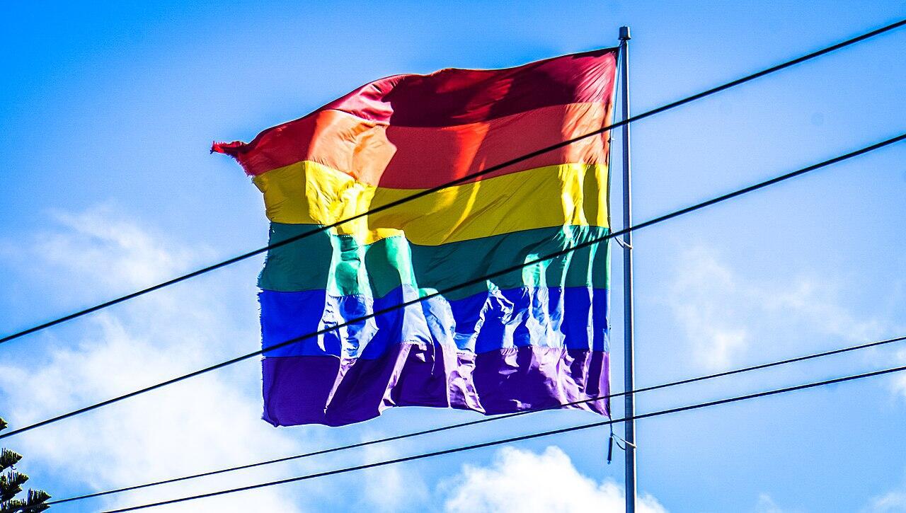 Thumbnail for "99: Queer Latino Culture". Thumbnail for "99: Queer Latino Culture".