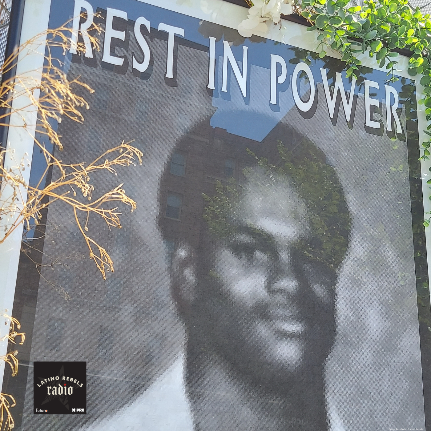 Thumbnail for "Who Was Miguel Gonzáles?". Thumbnail for "Who Was Miguel Gonzáles?".