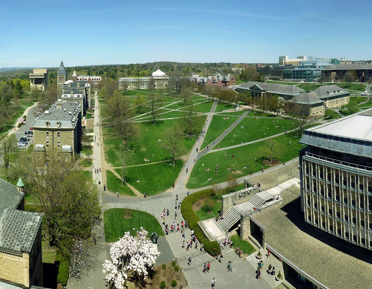 Thumbnail for "68: Being Latinx at Cornell". Thumbnail for "68: Being Latinx at Cornell".