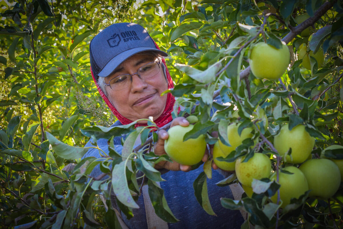 Thumbnail for "The Humans Who Feed Us". Thumbnail for "The Humans Who Feed Us".