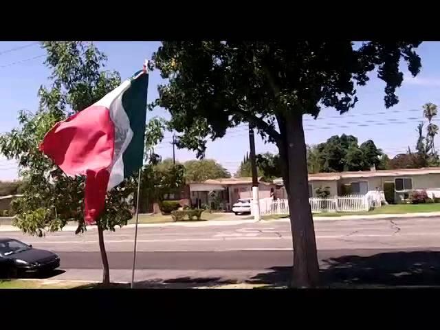 Thumbnail for "31: A Mexican Flag on the Lawn (2014 REBROADCAST)". Thumbnail for "31: A Mexican Flag on the Lawn (2014 REBROADCAST)".