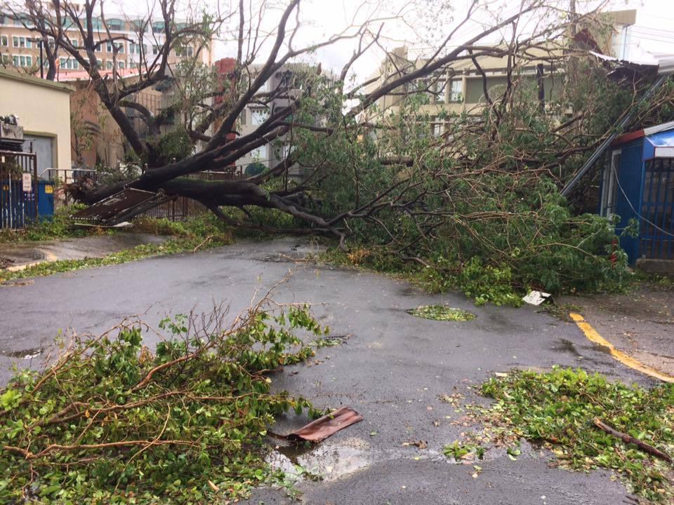 Thumbnail for "111: SPECIAL EPISODE: Puerto Rico Is Destroyed". Thumbnail for "111: SPECIAL EPISODE: Puerto Rico Is Destroyed".