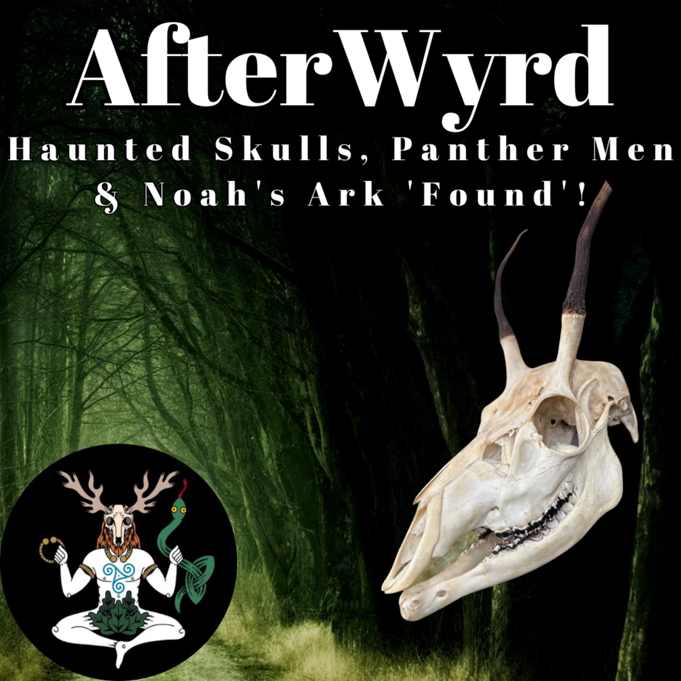 AfterWyrd: Haunted Skulls, Panther Men & Noah's Ark 'Found'!