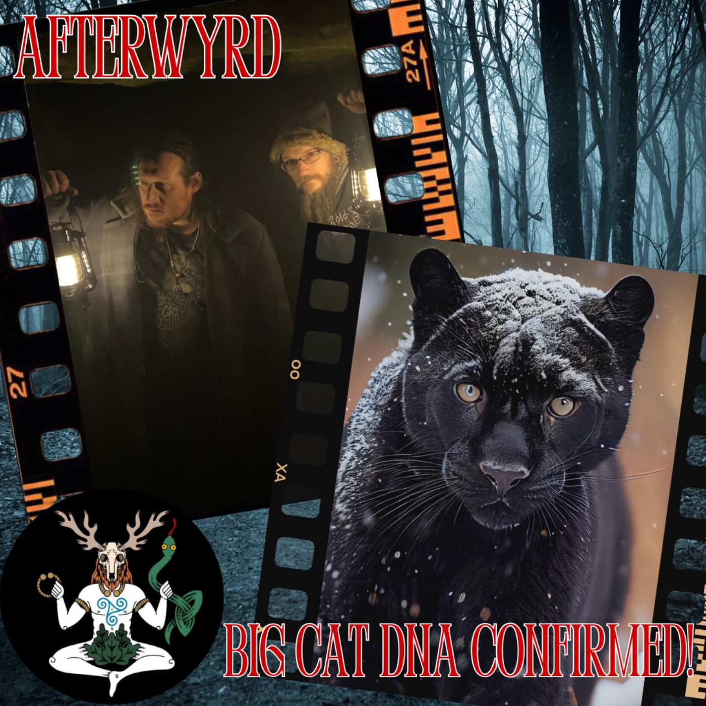 Big Cat DNA Found on Sheep (Cumbrian Panthera Evidence & Conservation Debate) episode artwork