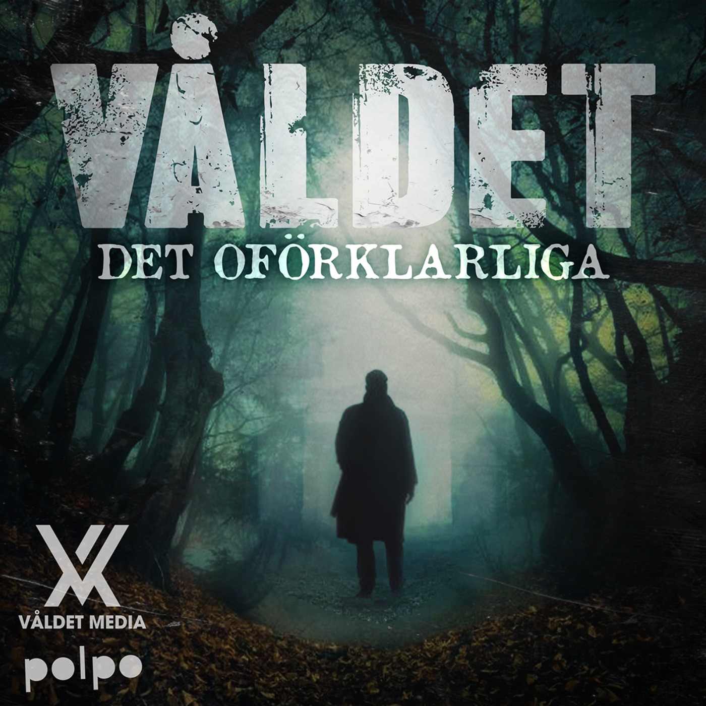 Våldet: Det oförklarliga