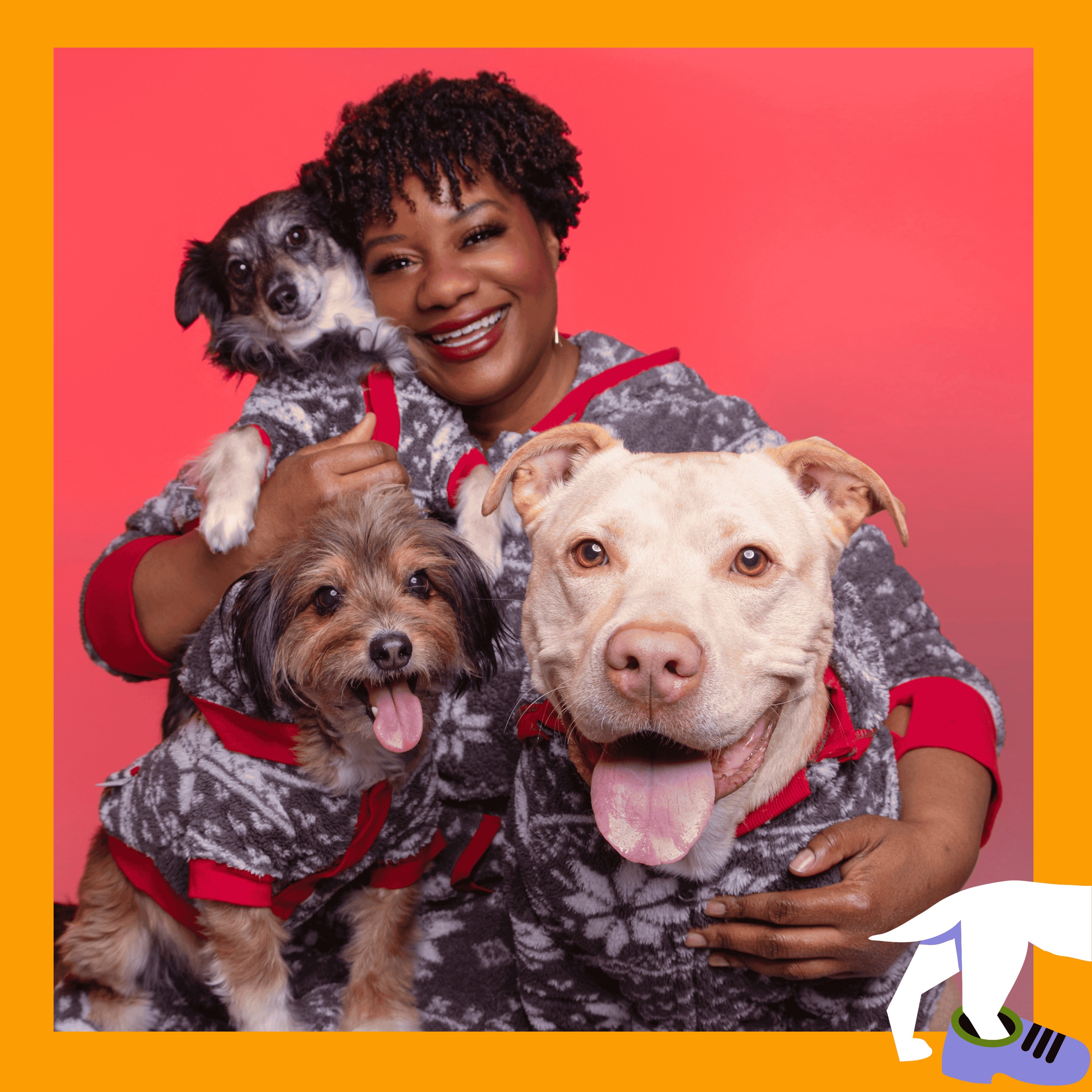 Furball Confidential