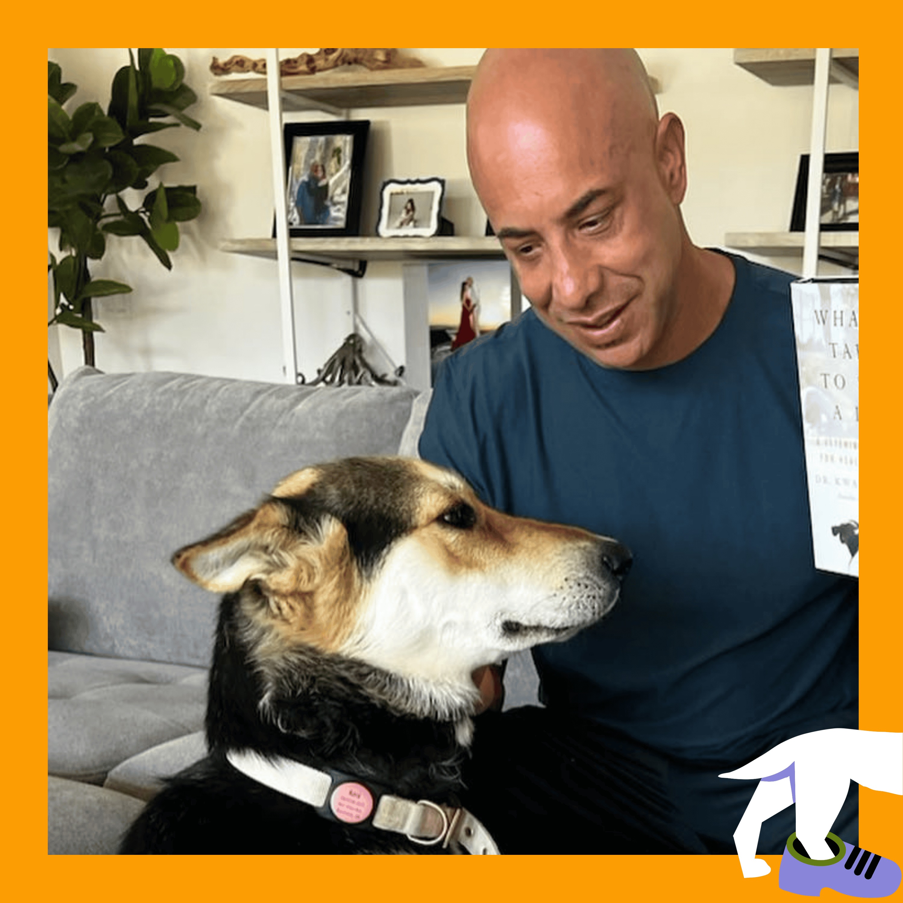 Furball Confidential