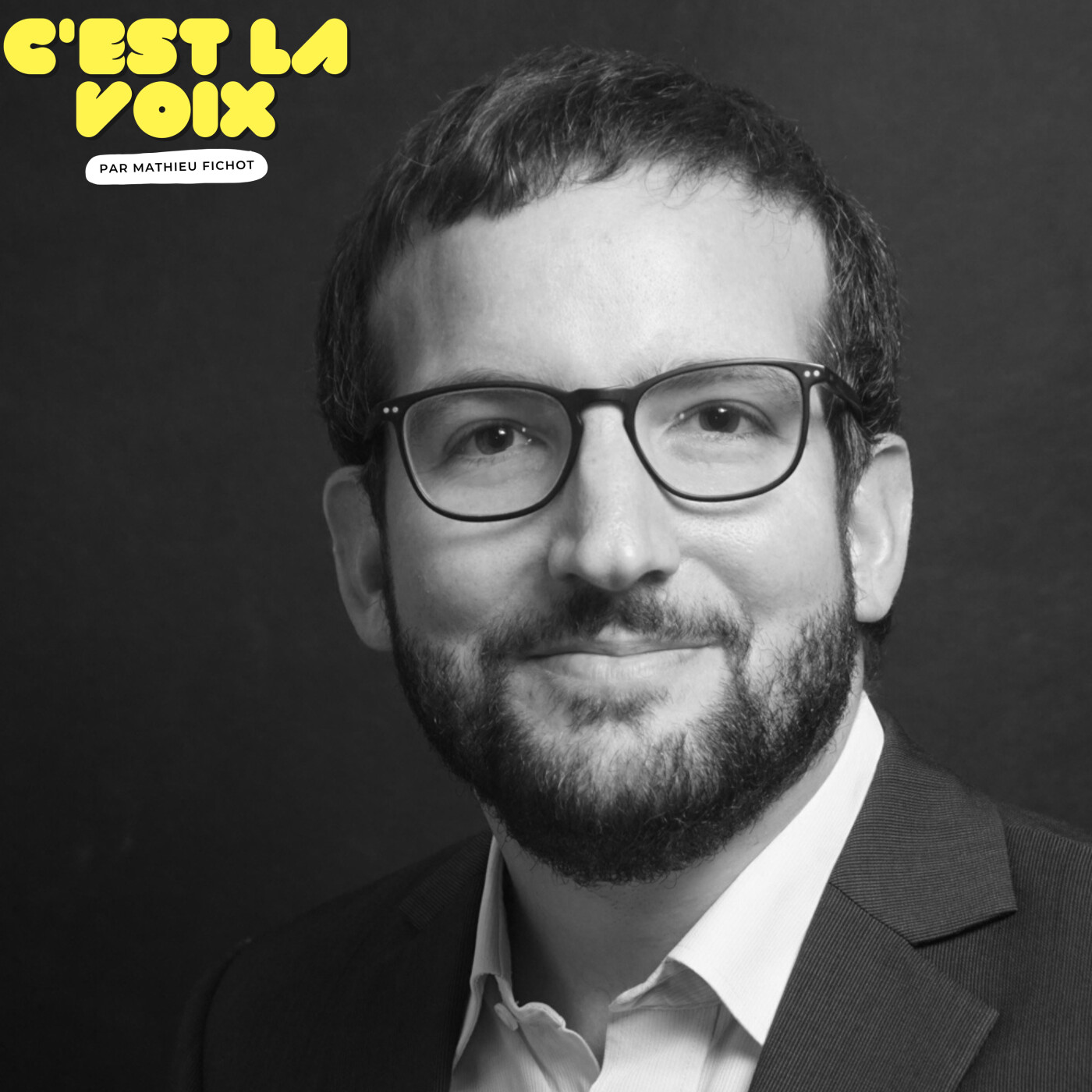 Rémi Carémel, l'amour du doublage, Disney et Jacques Demy