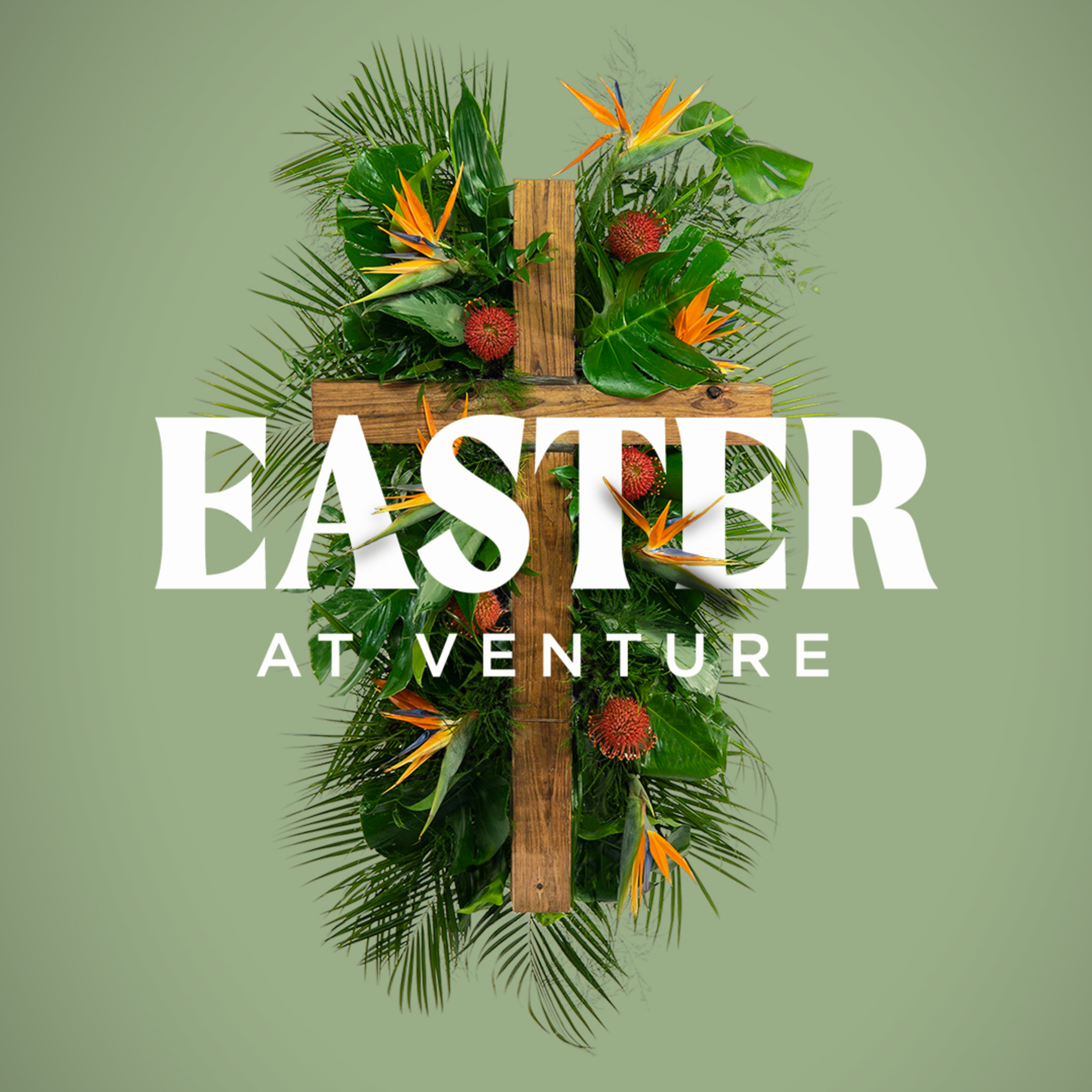 Venture Church Messages