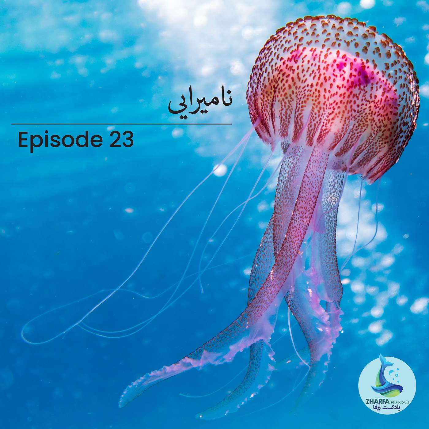 شماره بیست و سوم - نامیرایی