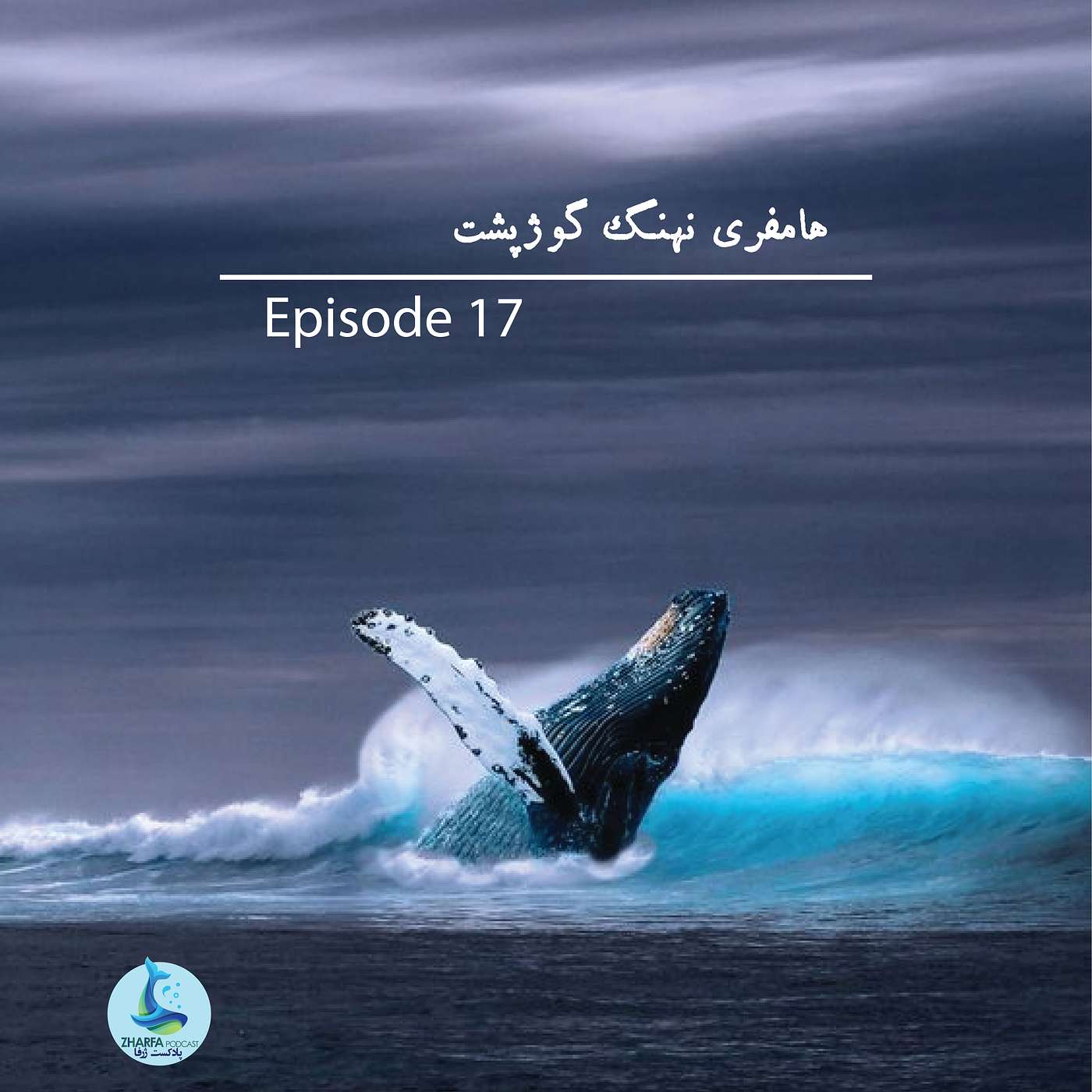 شماره هفدهم - هامفری نهنگ گوژپشت