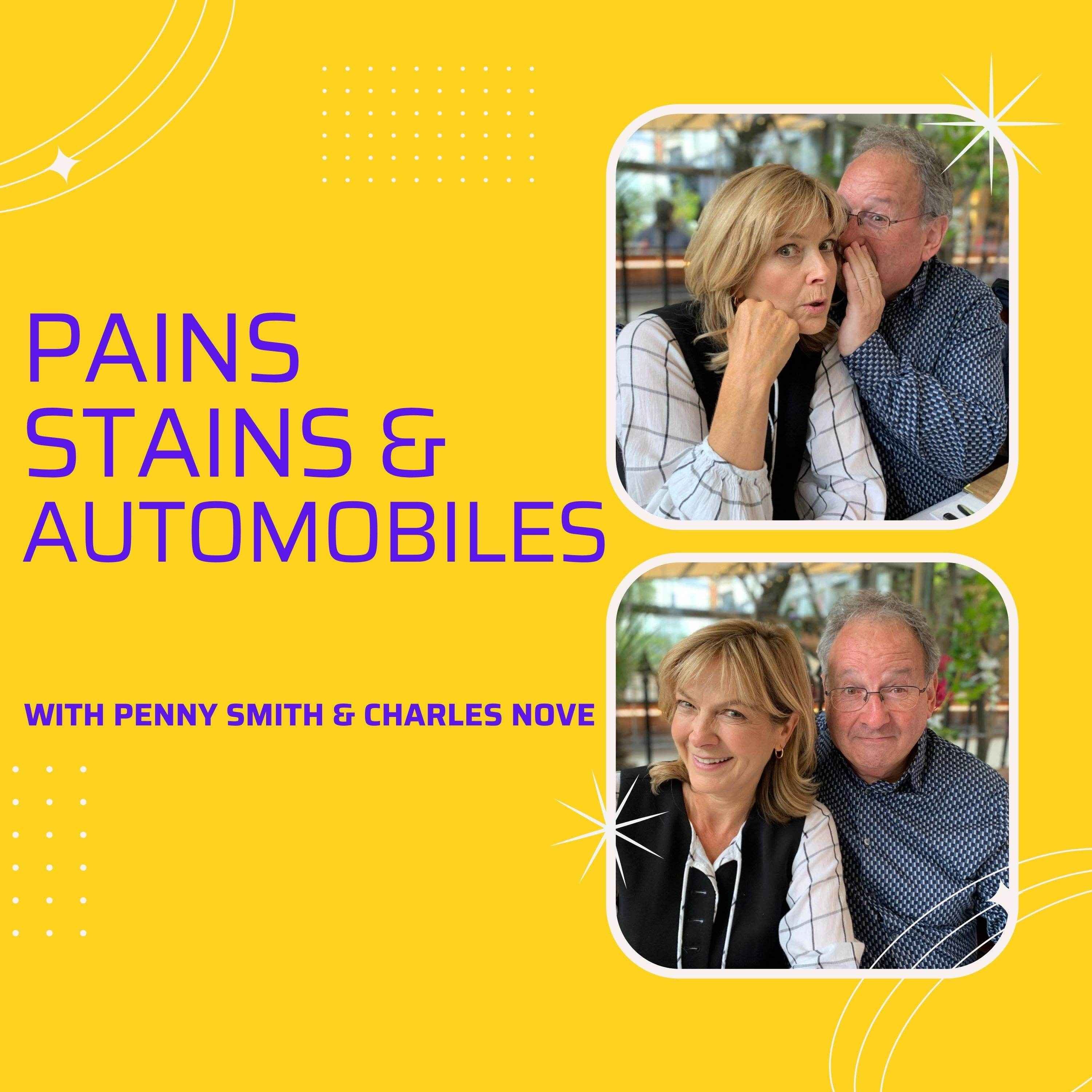 Pains Stains & Automobiles