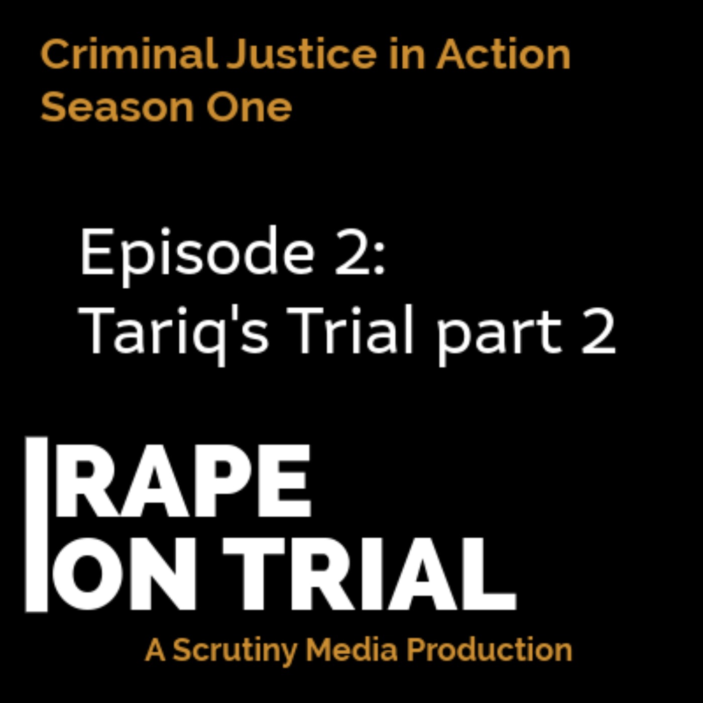 2. Tariq's Trial part 2
