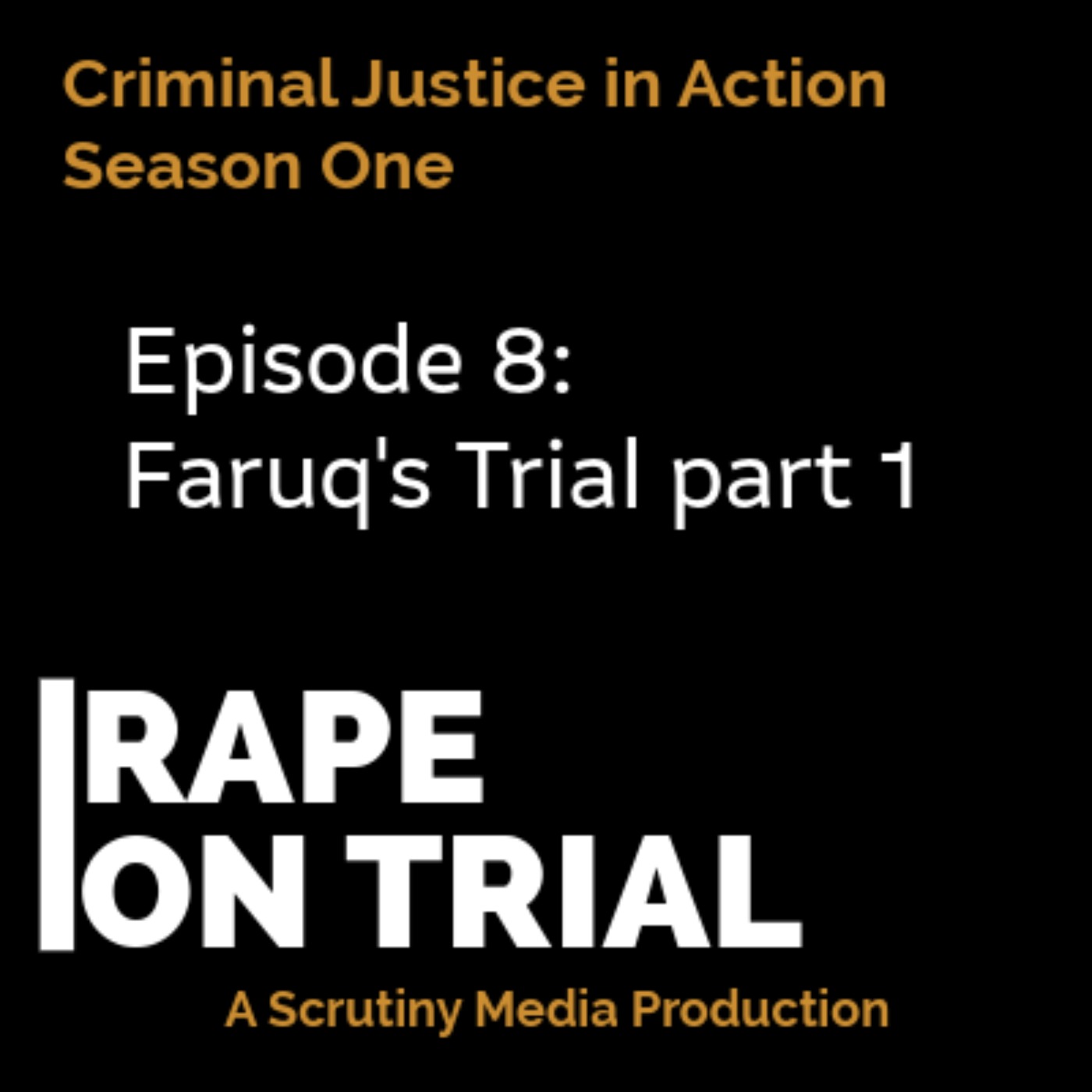 8. Faruq's Trial part 1