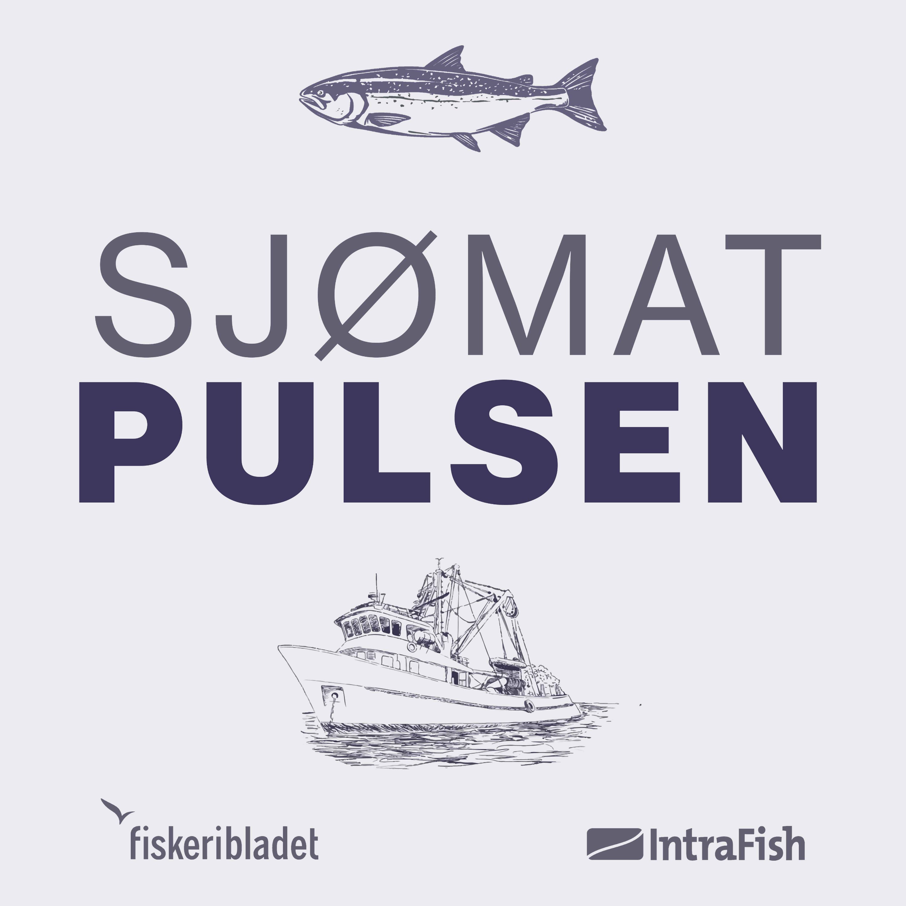 Debatt: Havbrukets fremtidige vekst episode artwork