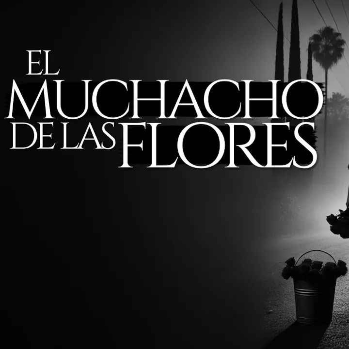 SOY VENDEDOR DE FLORES Y ESTA ES MI ATERRADORA EXPERIENCIA (RELATO DE TERROR REAL) SOY VENDEDOR DE FLORES Y ESTA ES MI ATERRADORA EXPERIENCIA (RELATO DE TERROR REAL)