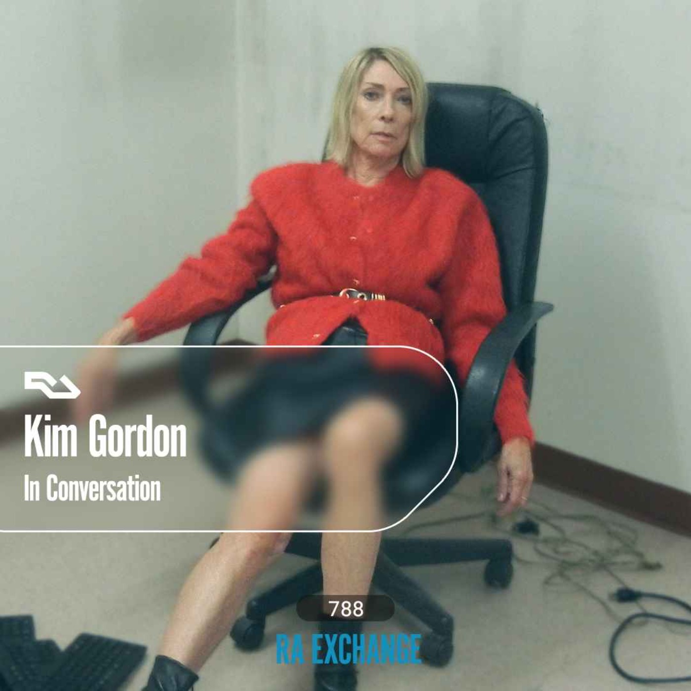 EX.788 Kim Gordon EX.788 Kim Gordon