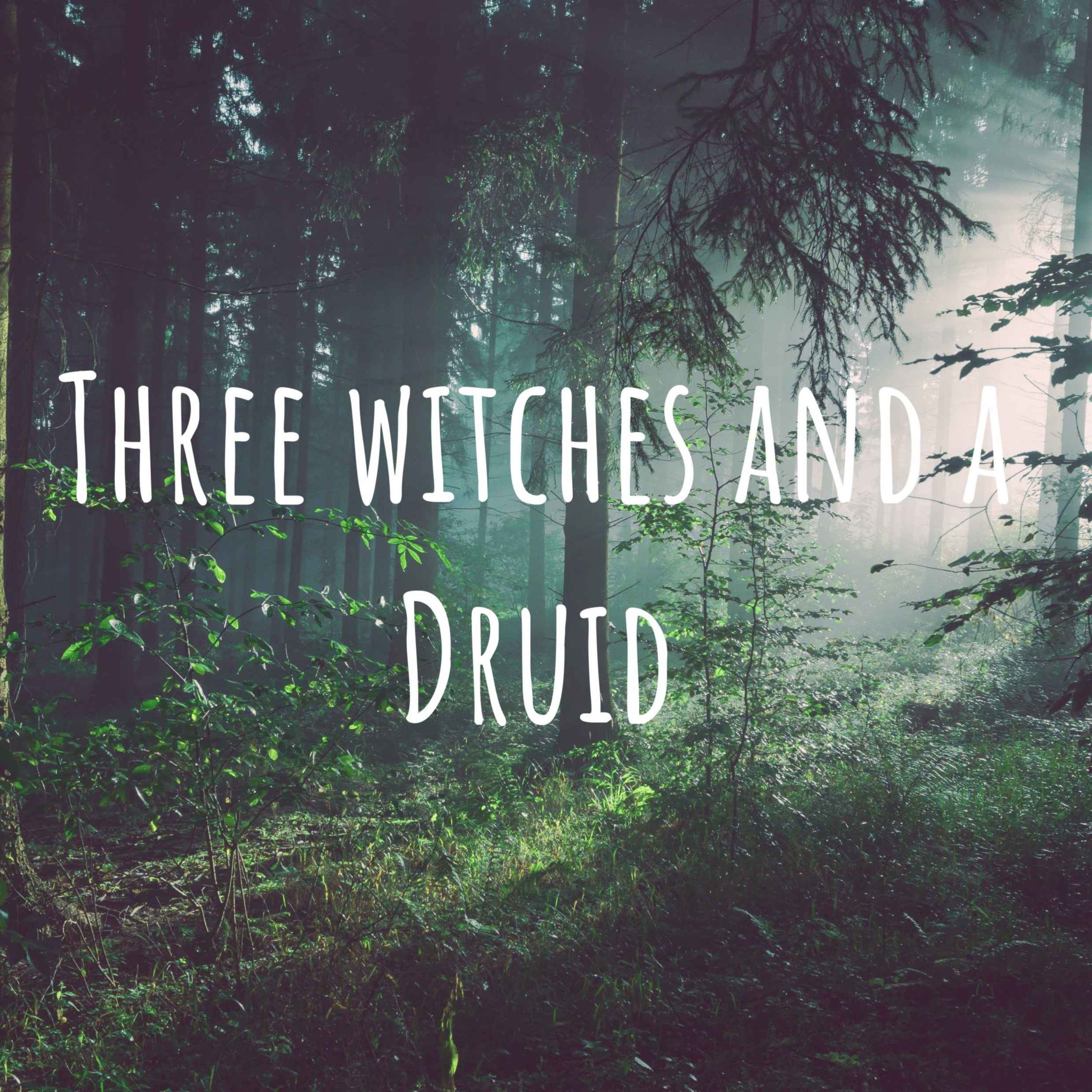 Three Witches and a Druid