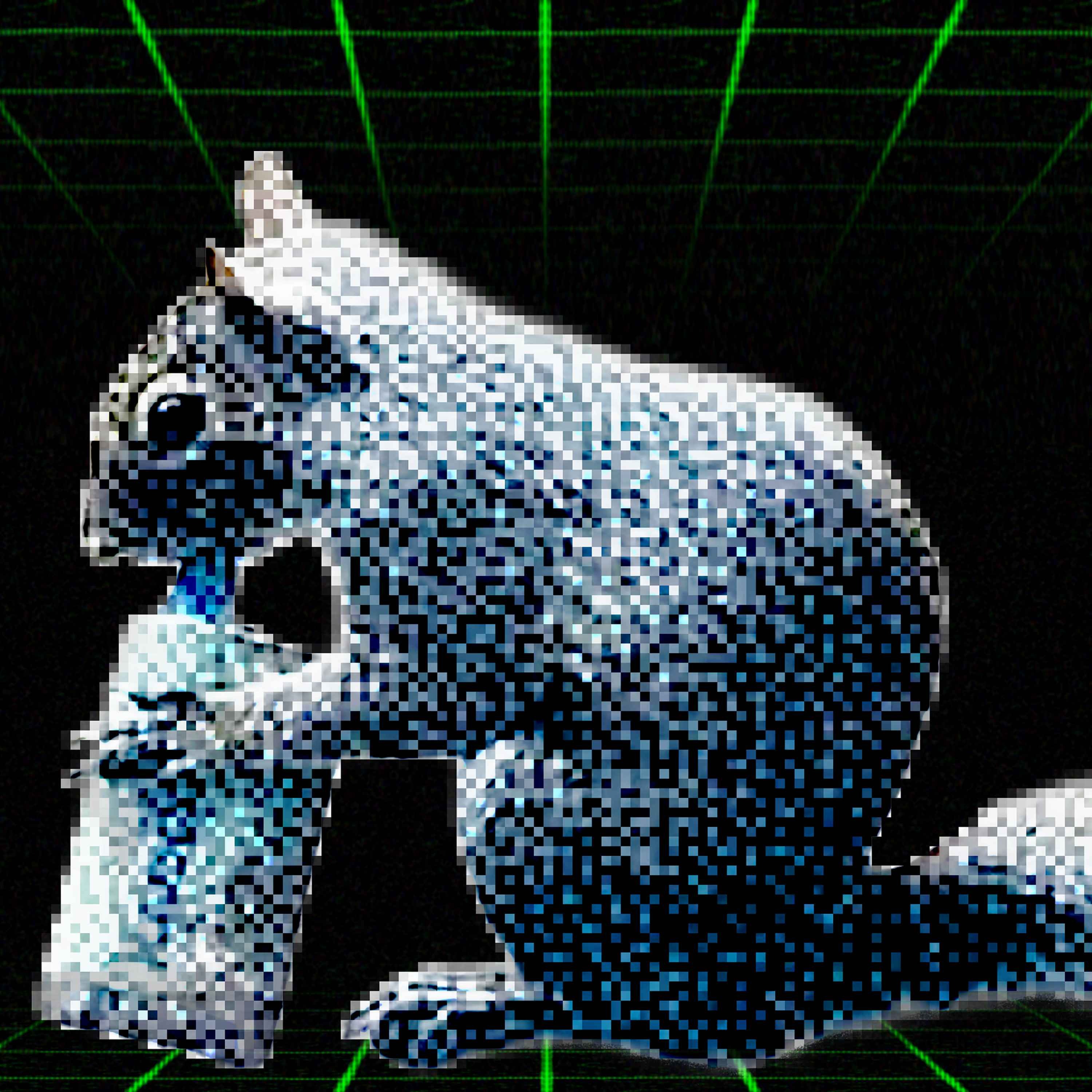 Share & Squirrel & Tell with Elle Duncan and Desus Nice