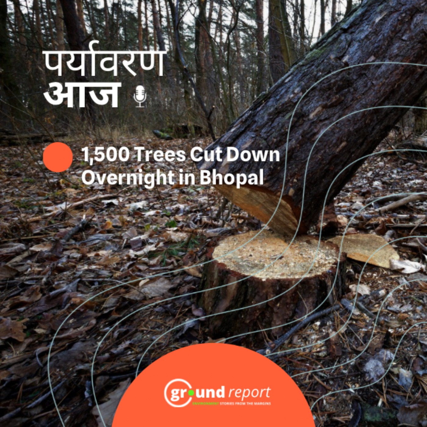 NGT के आदेश के बावजूद भोपाल नगर निगम ने काट दिए 1500 पेड़