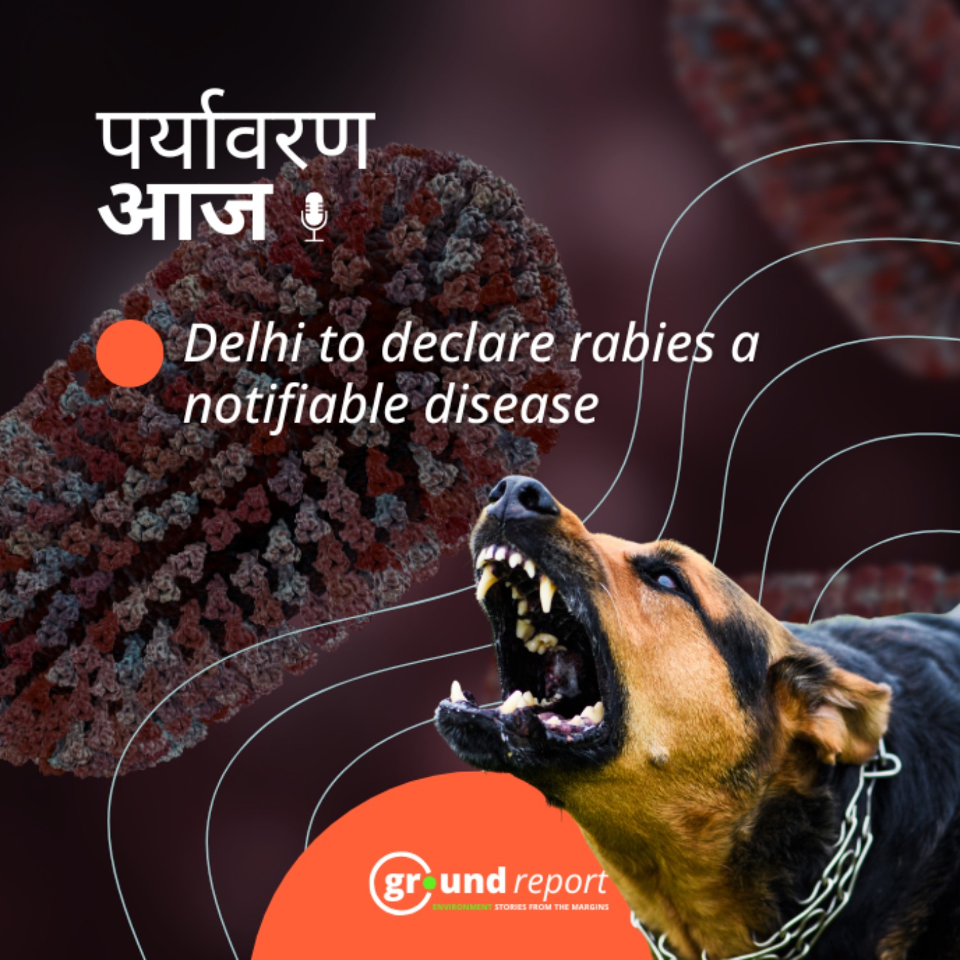 रेबीज को नोटिफायबल डिसीज बनाने से दिल्ली में क्या बदलेगा?