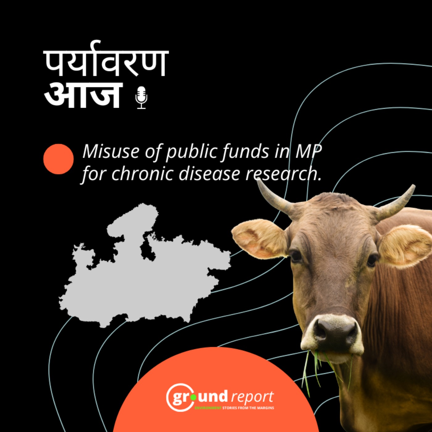 गौमूत्र से कैंसर का इलाज, क्या है वेटेनरी घोटाले का पूरा मामला?