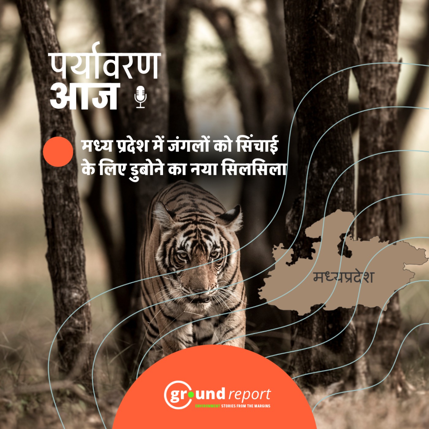 बांध के लिए टाइगर रिजर्व के कोर एरिया को डायवर्ट करने की सिफारिश
