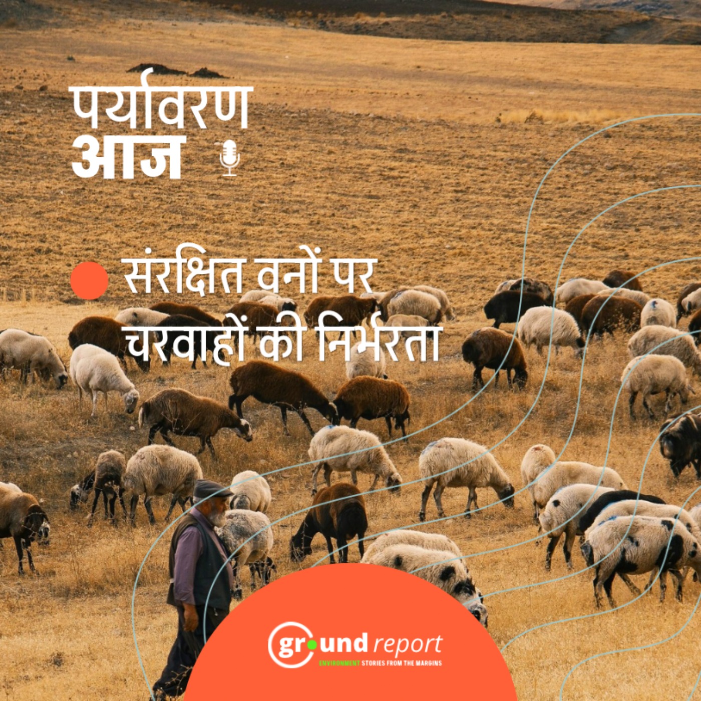 अभयारण्यों पर चरवाहों की निर्भरता पर होगा अध्ययन