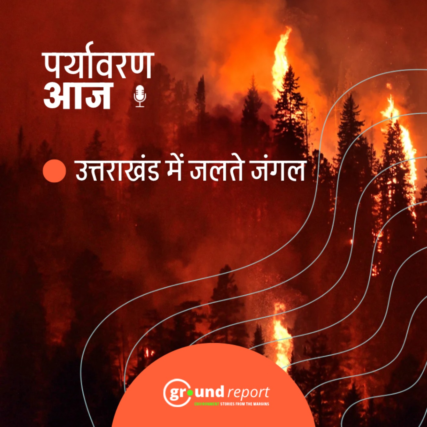 उत्तराखंड के जंगलों में आग, पर्यटन और पर्यावरण पर क्या असर होंगे?