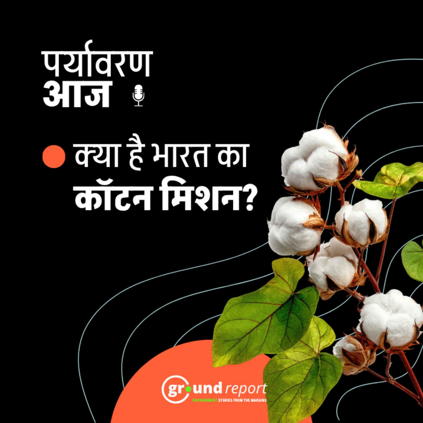 किसानों की उम्मीद बनेगा कॉटन मिशन? episode artwork