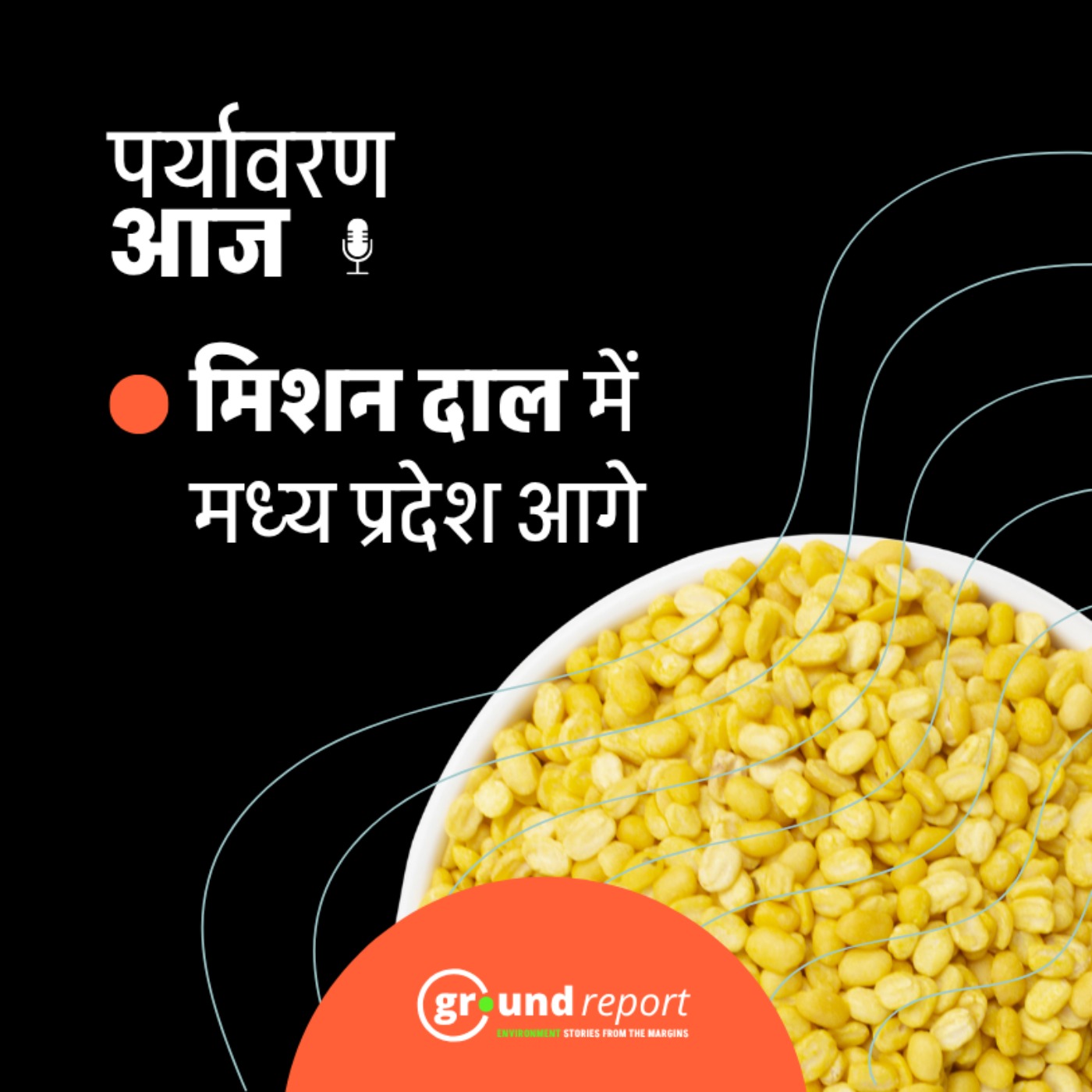 एमपी में दलहन आत्मनिर्भरता और कैनाइन वायरस से बाघों की मौत episode artwork