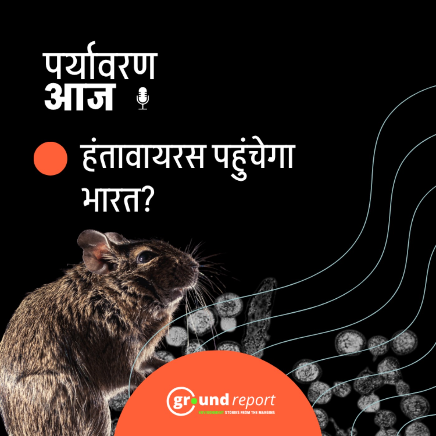 हंतावायरस पहुंचेगा भारत? episode artwork