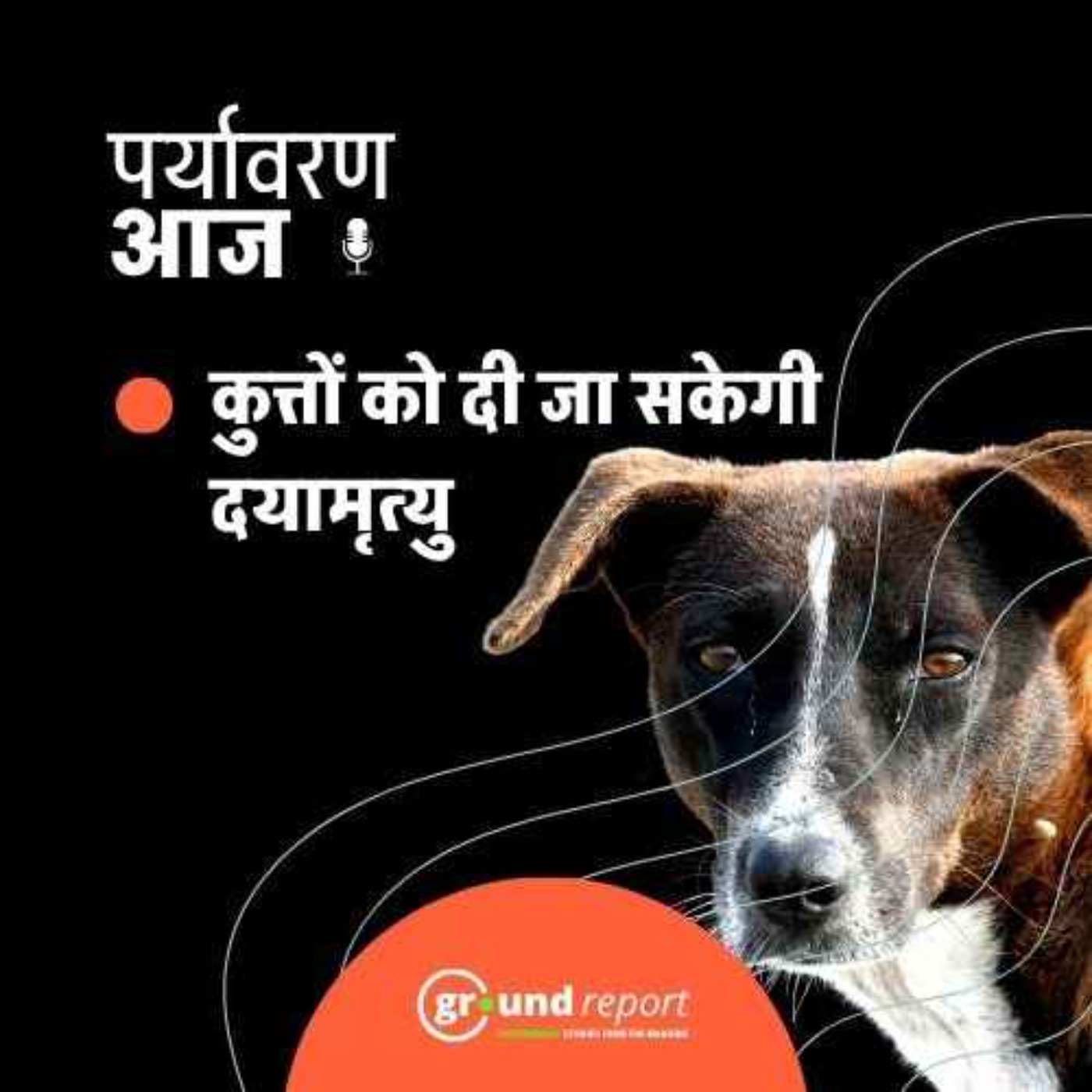 सुप्रीम कोर्ट ने खतरनाक कुत्तों को मारने के लिए क्यों कहा episode artwork