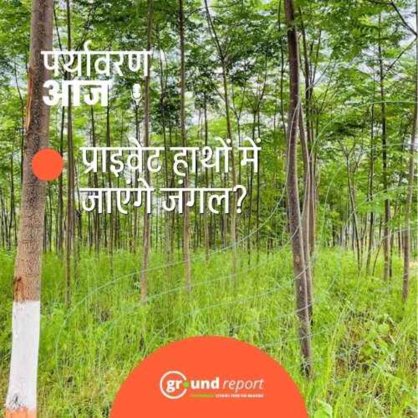 मध्य प्रदेश में प्राइवेट कंपनियों की दी जाएगी वनभूमि episode artwork