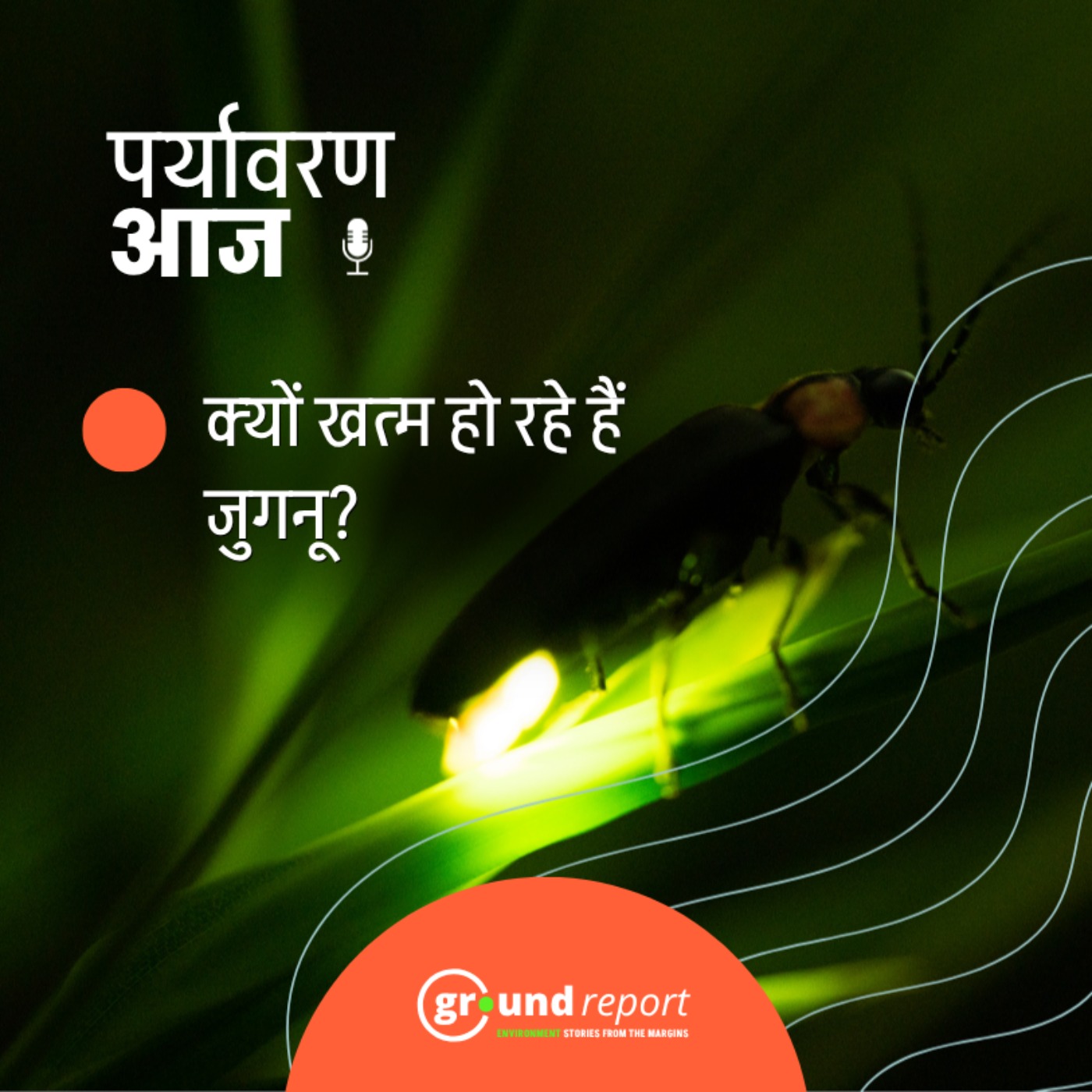 जुगनुओं पर हुआ पहला राष्ट्रीय सर्वे, क्या सामने आया? episode artwork