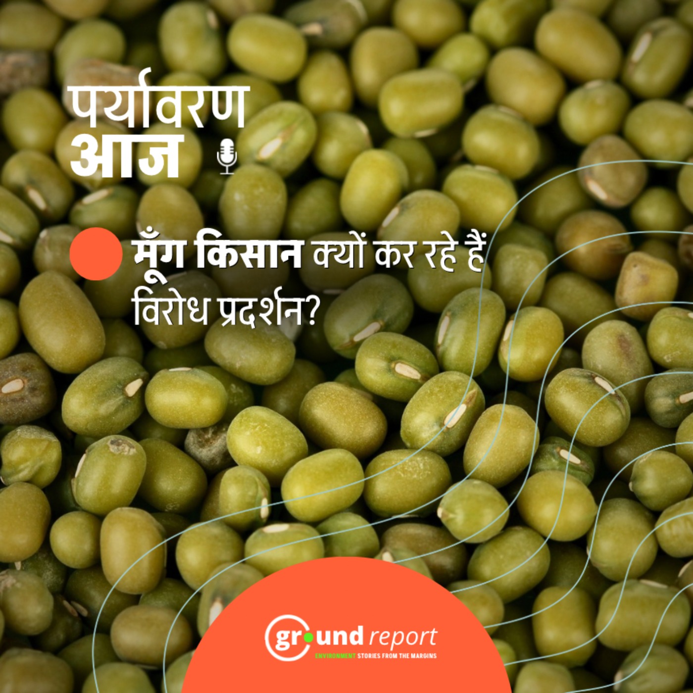 मध्य प्रदेश में मूंग किसान क्यों कर रहे हैं सरकार का विरोध? episode artwork