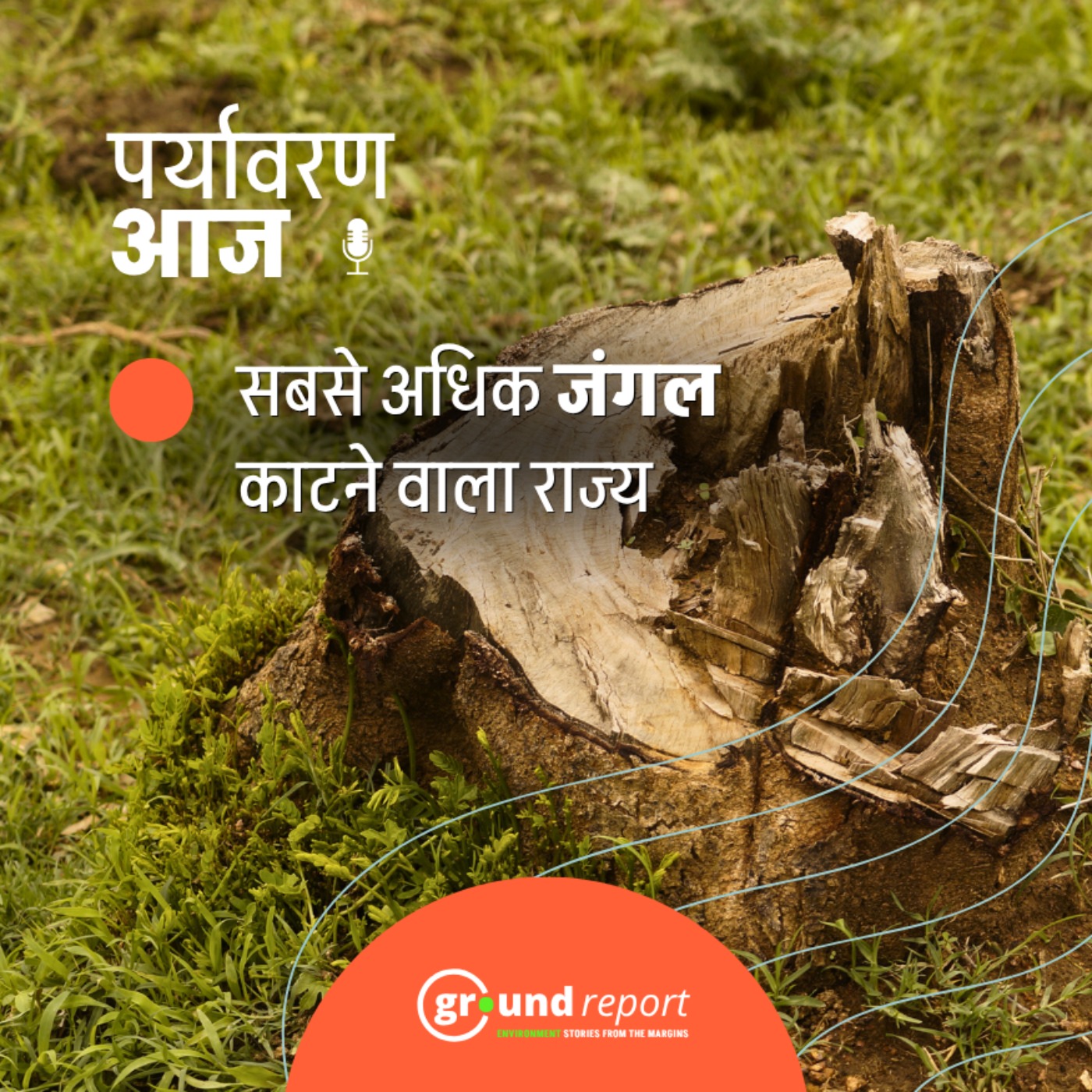 मध्य प्रदेश: सबसे अधिक जंगल काटने वाला राज्य episode artwork