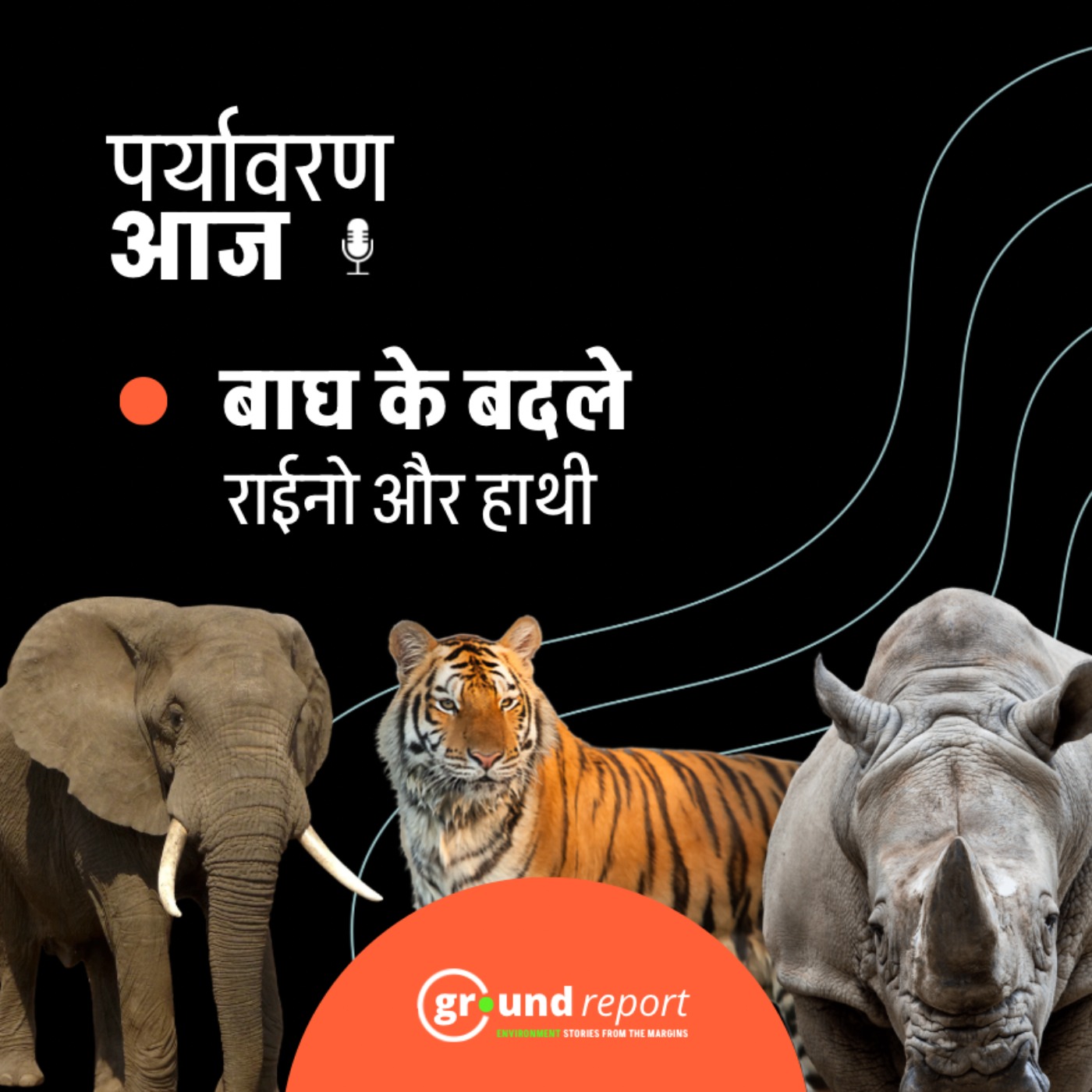 मध्य प्रदेश में बाघों के बदले आएंगे हाथी-गैंडे episode artwork