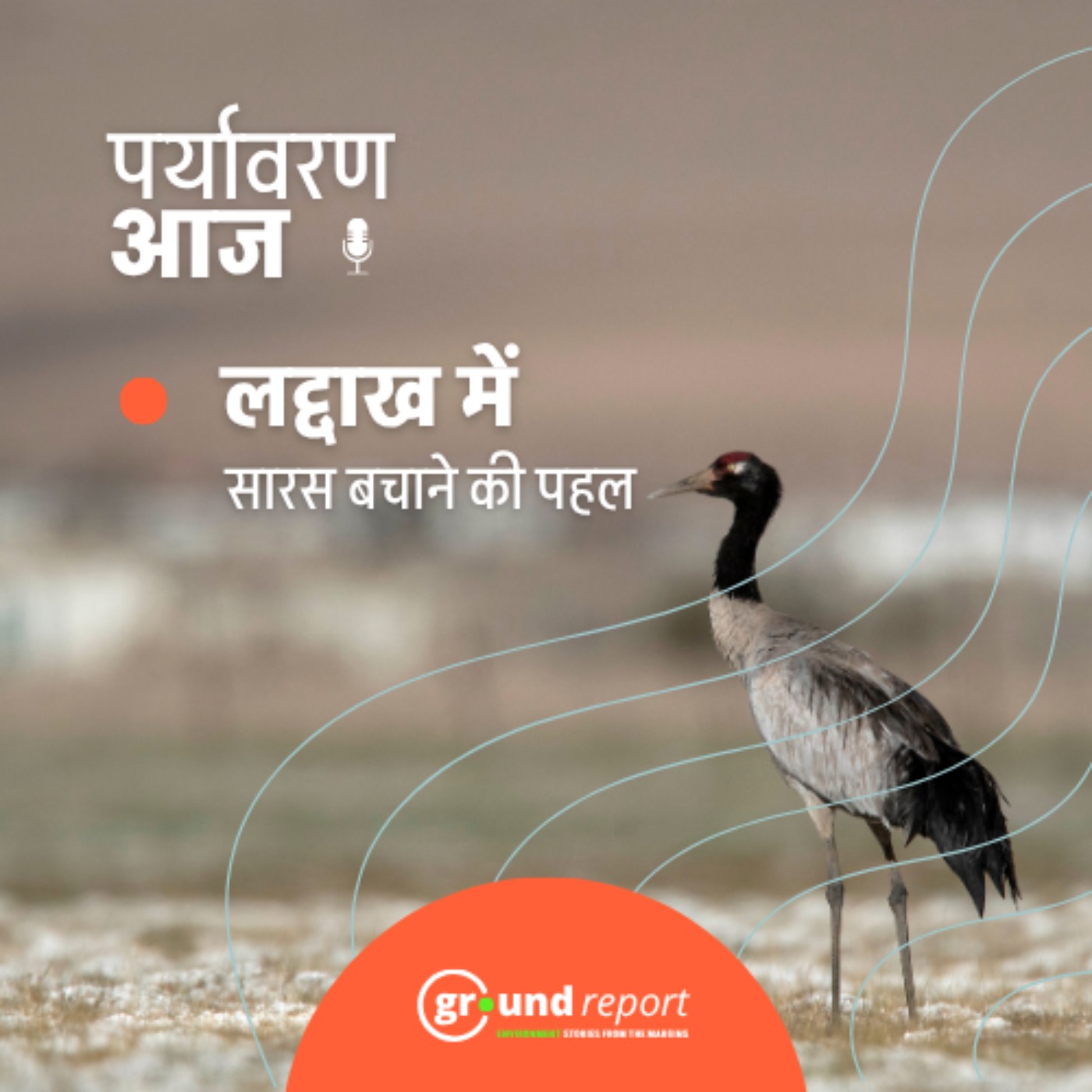 लद्दाख के पवित्र क्रेन को बचाने का अभियान episode artwork